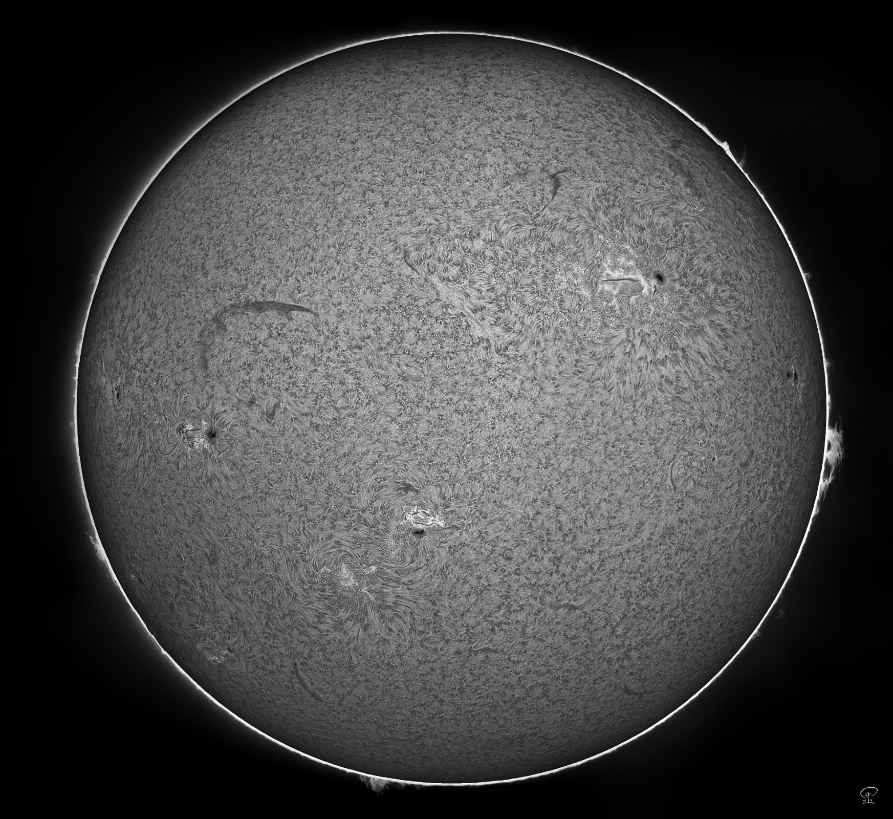 Chromosphäre 28.07.2023 Mosaik aus sechs Detailaufnahmen der Sonnenchromosphäre im H-Alpha Spektrum des Lichts vom 28. Juli 2023, monochrom. Die Ausrüstung für diese Aufnahmen der Sonnenoberfläche habe ich wieder verkauft. Nicht, weil ich unzufrieden mit den Bildern war, sondern weil mir sonst zu viel Zeit mit meiner Familie verloren geht, wenn ich auch tagsüber in den Weltraum verschwinde.