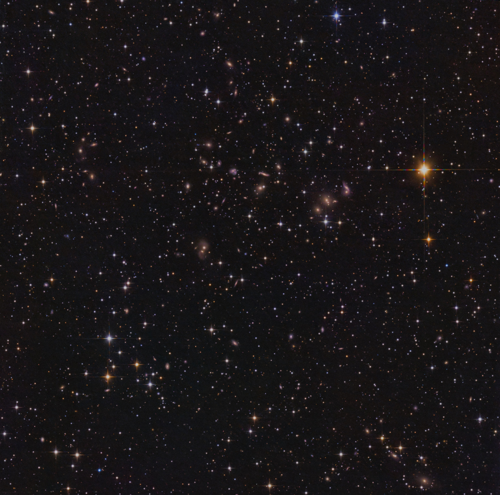 ACO2159 highres Im Sternbild Herkules wimmelt es auch von zahlreichen faszinierenden Galaxienhaufen, sodass ich mir fast ein wenig schwer getan habe eine Stelle zu finden, der ich den Vorzug für meine Belichtung geben könnte. Nun findet sich auf meinem Bild unter Anderem als vermutlich prominentesten Vertreter der Herkules Galaxienhaufen ACO 2159, der für sich schon mehr als 100 Mitglieder zählt. Er ist Teil des größeren Herkules-Superhaufens, der wiederum Teil der noch viel größeren Mauer-Superstruktur ist. Zur Bildentstehung: Das Wetter hat mir in den letzten Tagen wieder einige klare Nächte beschert, davon waren aber ein paar davon immer wieder mit unvorhergesagten Wolken durchzogen. Also habe ich mich für die Farbkamera entschieden, das macht es einfacher Bilder auszusortieren ohne in einem Farbbereich zu viel oder zu wenig Bilder unterm Strich zu erhalten. Nach zwei Nächten hatte ich gerade zu wenig um halbwegs verlustfrei zu drizzeln beim Aufsummieren der Bilder, deshalb wurden in der dritten Nacht mit höherem GAIN und kürzeren Einzelbelichtungen noch eine gute Anzahl an Bildern hinzugefügt, damit hat dann alles zu meiner Zufriedenheit funktioniert. Teleskop: Skywatcher PDS 130/650 mm Kamera: ZWO ASI533MC-Pro Nachführung: Losmandy G11 Bildbearbeitung: Astropixelprocessor, Pixinsight, Luminar NEO, Affinity Photo Belichtung: 30.06.: 83x 120 s bei GAIN 0 01.07.: 74x 120 s bei GAIN 0 02.07.: 169x 60 s bei GAIN 100