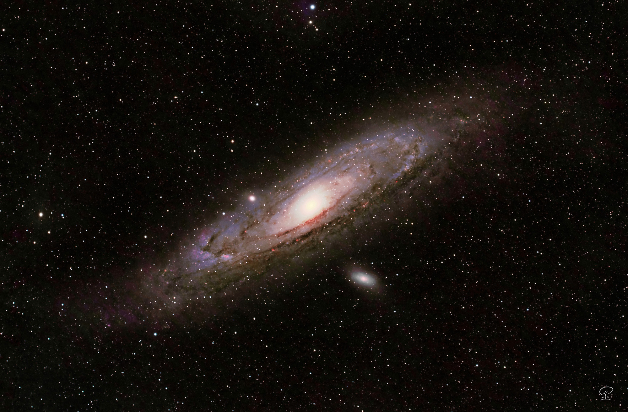 Andromeda 2022 Andromeda Galaxie Juli 2022 Andromeda Galaxie, Komposit. Ich habe dieses Bild vom Anfang Juli erneut überarbeitet, nun entspricht es fast schon meinen Erwartungen und Vorstellungen. Ich habe dieses Objekt heuer simultan mit zwei Kameras, zwei Optiken und unterschiedlichen Filterungen belichtet. Jeweils 6h im Breitbandspektrum als auch im Schmalbandspektrum. Die beiden Ergebnisse habe ich anschließend zu diesem Bild kombiniert. Kameras: ZWO ASI 533 MC-Pro und ASI 183 MC-Pro Optiken: Askar FMA180 und Samyang 135mm/f2 Filter: IDAS NBZ UHS und Astronomik L3 UV/IR-cut Nachführungen: Skywatcher HEQ5 und EQ3. Steuerungen: ZWO ASIAIR Plus und ASIAIR Pro. Gesamtbelichtungszeit 12h über zwei Nächte (gleichzeitig zwei Setups in Betrieb). 729x60s Software: Astropixelprocessor, Pixinsight, LuminarAI