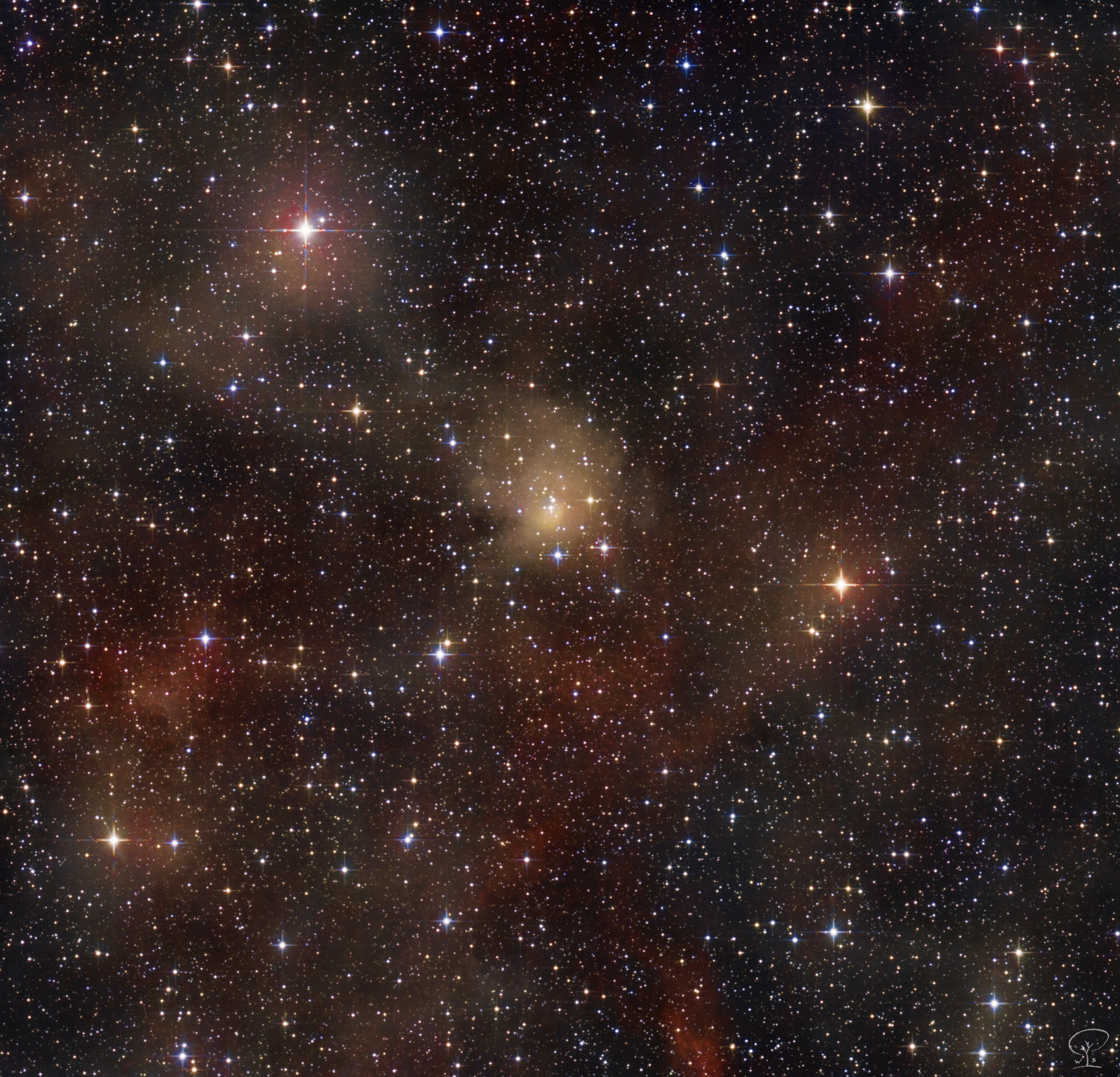 CWNU_71_final2 Eine lange Reise zu einer unscheinbaren Wolke. Auf der Suche nach interessanten Objekten, die vielleicht nicht jeder schon auf seiner Liste hat, bin ich in einem Sky-Survey über eine schwach nebelige Struktur gestolpert, die hat mich irgendwie sofort in ihren Bann gezogen. Was ist das denn? Ich konnte auf die Schnelle aber nichts dazu finden, also fragte ich im deutschen Verein der Sternenfreunde nach, da gibt es Leute, die sich professionell mit dieser Materie beschäftigen. Und ich bekam auch eine Antwort: es handelt sich um einen offenen Sternhaufen namens CWNU 71, der erst vor zwei Jahren von chinesischen Astronomen entdeckt worden ist - einer von ganz vielen, die suchen den Himmel nämlich mit künstlicher Intelligenz und komplizierten Algorythmen ab, und veröffentlichen in kurzen Abständen hunterte neue Entdeckungen. Die Nebulosität in dem unscheinbaren Haufen ist ein Überbleibsel der ursprünglichen Staub- und Gaswolke, aus welcher sich dieser Haufen entwickelt hat. Angespornt von der Tatsache, dass es vielleicht noch kein schönes Bild von diesem Ding geben könnte, fing ich also an zu belichten, erst einmal mit dem Luminanzfilter, um zu sehen, was meine Ausrüstung dort visualisieren kann. Dann folgten mit langen wetterbedingten Unterbrechungen viele Stunden mit dem H-alpha Filter, denn vielleicht tut sich in dieser Wolke ja noch mehr. Aber nein. Nach der Subtraktion des roten Kontinuums von diesen Bildern blieb in dem Haufen selbst nichts von H-alpha übrig. Macht nichts, also weiter. Mir wurde vom VdS empfohlen mit einem IR-pass Filter zu belichten, denn offenbar befindet sich eine IR-emittierende Wolke dort drin, das wäre interessant. Gesagt, getan - nur leider reicht die Empfindlichkeit meiner Kamera nicht weit genug in das infrarote Spektrum hinein, da war nichts zu sehen. Macht auch nichts, weiter - irgendwann soll aus den ganzen Belichtungen wenigstens ein ansehnliches Bild entstehen. Die letzten beiden Nächte um den Neumond gaben mir dann für einige Stunden den Himmel frei, jetzt konnte ich endlich auch R, G und B belichten, damit auch Farbe reinkommt. Die vielen Stunden H-alpha habe ich mittels Kontinuumsubtraktion mit ins Bild genommen, damit die roten Wasserstoffwolken das Bild ein wenig aufpeppen, Infrarot habe ich aber nicht verwendet, weil da war nichts außer Sterne und Halos. Insgesamt wurden also 33 Stunden und 55 Minuten Belichtungszeit verwendet, um die prämordiale Wolke des offenen Sternhaufens CWNU 71 deutlich sichtbar zu machen. Gut möglich, dass dies das erste von einem Amateur (absichtlich) aufgenommene Bild davon ist. -> Und ebenso möglich, dass es längere Zeit das einzige bleiben wird, weil so spektakulär ist die Wolke dann auch wieder nicht.