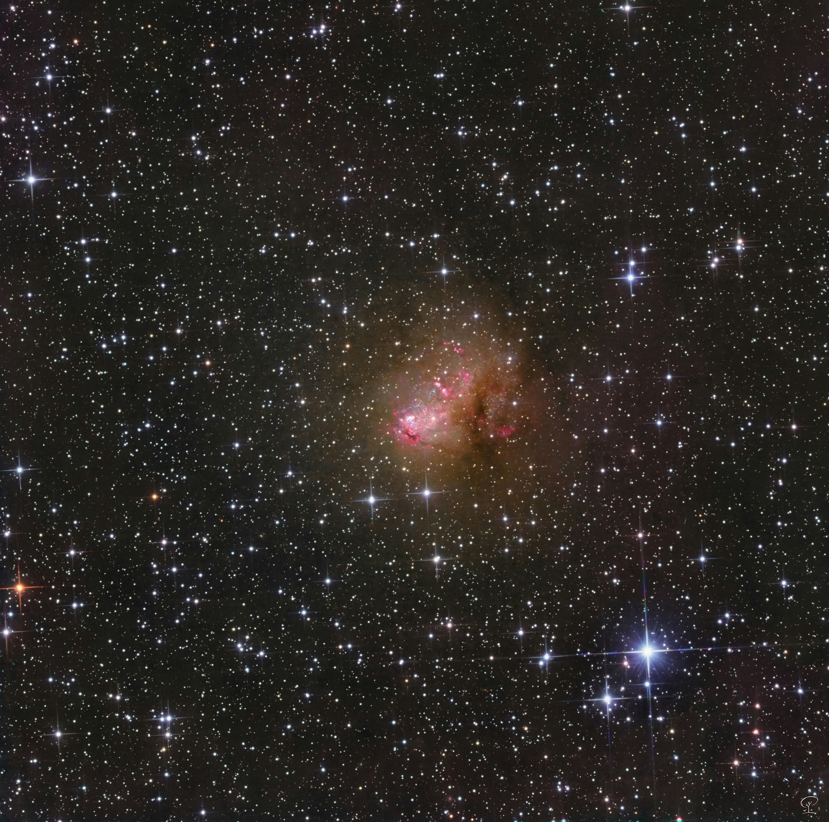 IC10 (2) (2) Zwerggalaxie IC 10 Fast ein Monat hat es gedauert, diese 50 Stunden Belichtungszeit zu sammeln, nun ist es geschafft. IC 10 ist eine Zwerggalaxie im Sternbild Kassiopeia, man zählt sie zu den Starburstgalaxien weil sie eine unüblich hohe Sternentstehungsrate hat. Man nimmt an, dass sich diese Galaxie noch im Entstehungsprozess befindet. Hier habe ich erstmals eine Bearbeitungstechnik mit Kontinuumsubtraktion verwendet. Das macht man, um Schmalbandaufnahmen in ein LRGB-Bild einzupflegen, ohne dass man dabei die Farben des restlichen Bildes stört. Man lernt nie aus. Teleskop: Skywatcher 250/1200 PDS Kamera: ZWO ASI533MM-Pro Filter: LRGB +Ha +O3 Nachführung: ZWO AM5 Belichtungszeit insgesamt: 50 Stunden verteilt über vier Wochen