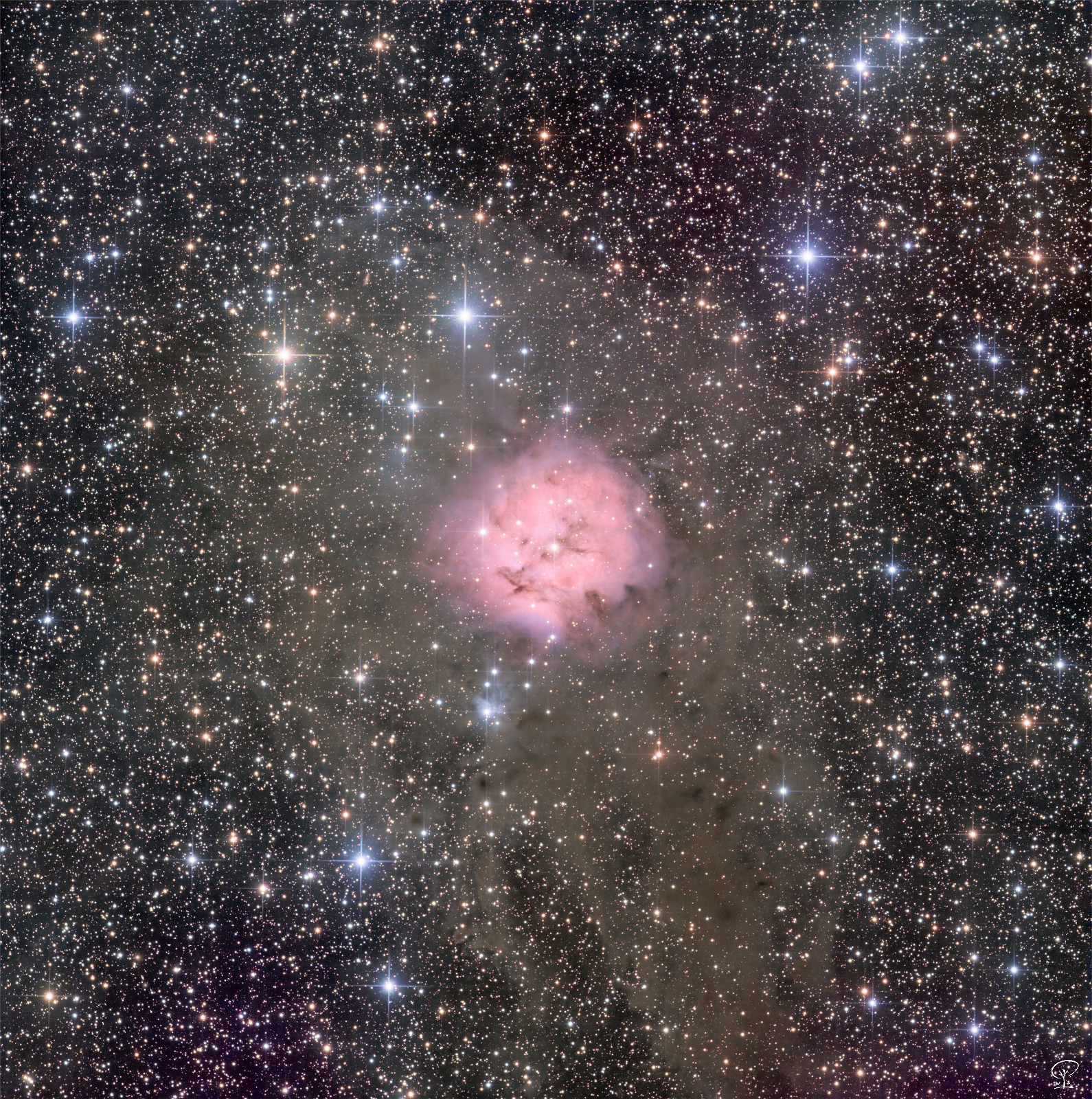 IC5146 IC5146, der Kokon-Nebel am Rande des Cygnus Nahe der Grenze zu Lacerta im Sternbild Cygnus kann man den hellen Emissions- und Reflexionsnebel rund um den Sternhaufen Collinder 470 finden. Der Dunkelnebel Banard 168 umhüllt den Kokon-Nebel und erstreckt sich dann weiter richtung Westen (im Bild nach unten), um einen langen dunklen, kometenartigen Schweif zu bilden. Hier werden viele neue Sterne geboren. 21h 24min Gesamtbelichtungszeit. Teleskop: Skywatcher 130PDS Kamera: ZWO ASI533MM-Pro Komakorrektor: GPU-Optics Filter: LRGB, Optolong Steuerung: ZWO ASIAIR Pro Nachführung: ZWO AM5 Zubehör: ZWO EAF (elektronische Fokussierung), ZWO EFW (elektronisches Filterrad), beheizte Taukappe Bildbearbeitung: Stacking und LRGB-Kombination mit Astropixelprocessor, Postprocessing mit Pixinsight, LuminarAI+NEO, Olympus Workspace