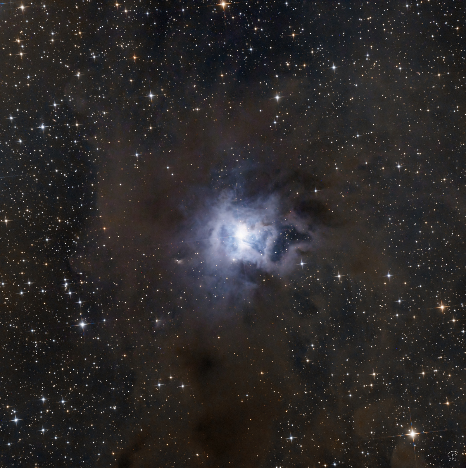 Iris NGC 7023, der Irisnebel - eine blaue Blume im Staub So schön diese Blume auch erscheinen mag, man möchte ihr vielleicht nicht zu nahe kommen, ihr wohnt ein stark strahlender Stern inne, der seine Umgebung in diesem bläulichen Licht illuminiert. Das Spitzer Space Telescope der NASA hat diese Region im Infrarot-Spektrum untersucht, und das Spitzer Science Center hat polyzyklisch aromatische Kohlenwasserstoffmoleküle spektrografisch feststellen können, diese werden als Grundbausteine für Lebensform-bildende Blöcke eingestuft. Teleskop: Skywatcher 130/650 PDS Kamera: ZWO ASI533MC-Pro Filter: ZWO UV/IR-cut Nachführung: Skywatcher HEQ5-Pro Steuerung: ZWO ASIAIR Pro Belichtungszeit: insgesamt 6h 46min