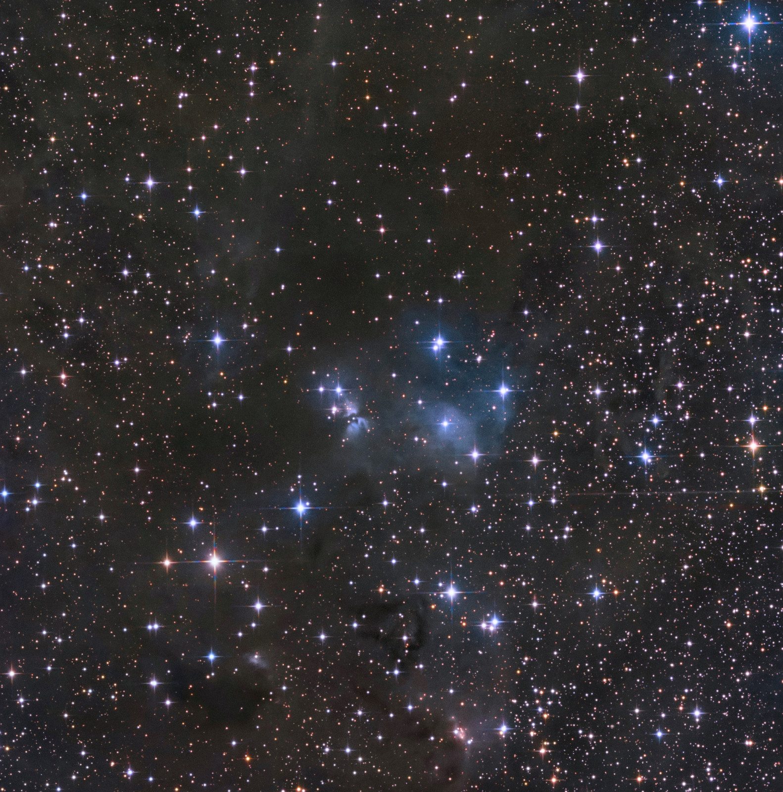 LBN635-LBN636 Reflexionsnebel LBN 636, umgeben von sternbildenden Dunkelwolken. 16 h 16 min in LRGB Filterung mit dem Skywatcher 130PDS und der ASI533MM-Pro.
