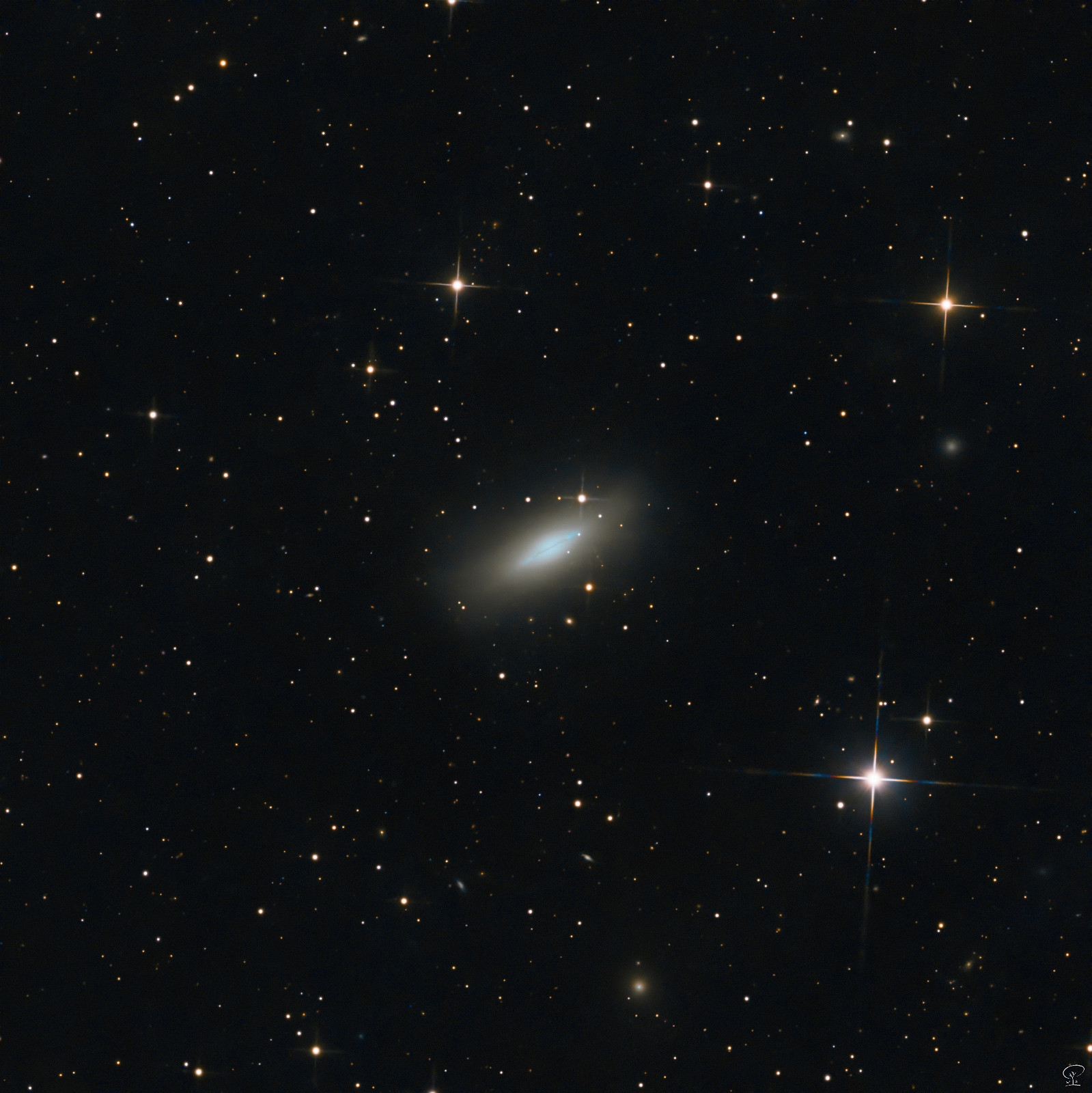 M102_1 NGC 5866 (Messier 102, Spindel-Galaxie) Es besteht eine Kontroverse, ob sich der Eintrag in den Messier-Katalog für M102 auf diese Galaxie bezieht oder nicht, weil die Eintragung ohne Koordinaten und mit einer schlampigen oder falschen Beschreibung erfolgt ist. Jedenfalls fand ich es ziemlich schwierig, das dünne Staubband, das am uns zugewandten Rand zu sehen ist, abbildungstechnisch darzustellen, weil die Galaxie einerseits nach mehr Brennweite verlangt und andererseits der Kern alles überstrahlen möchte. Für mehr Details im dunklen Staubband braucht es jedoch ein sehr großes Teleskop und sehr gutes Seeing. Irgendetwas muss aber während dieser Session passiert sein, es waren nur 82 Belichtungen zu je 120s abgespeichert. Ich habe leider nichts mitbekommen, war schon im Bett weil ich Tags darauf aufstehen musste. Aber das macht nichts, die Galaxie ist hell genug, nur leider zu klein für 1200mm Brennweite. Alle anderen Ziele am Himmel waren dem hellen Halbmond zu nahe, daher hatte ich mich für dieses Objekt entschieden. Teleskop: Skywatcher 250PDS Kamera: ZWO ASI533MC-Pro Filter: UV/IR-cut Nachführung: Losmandy G11 Steuerung: N.I.N.A. auf Primaluce Lab EAGLE LE Belichtung: 2h 44min