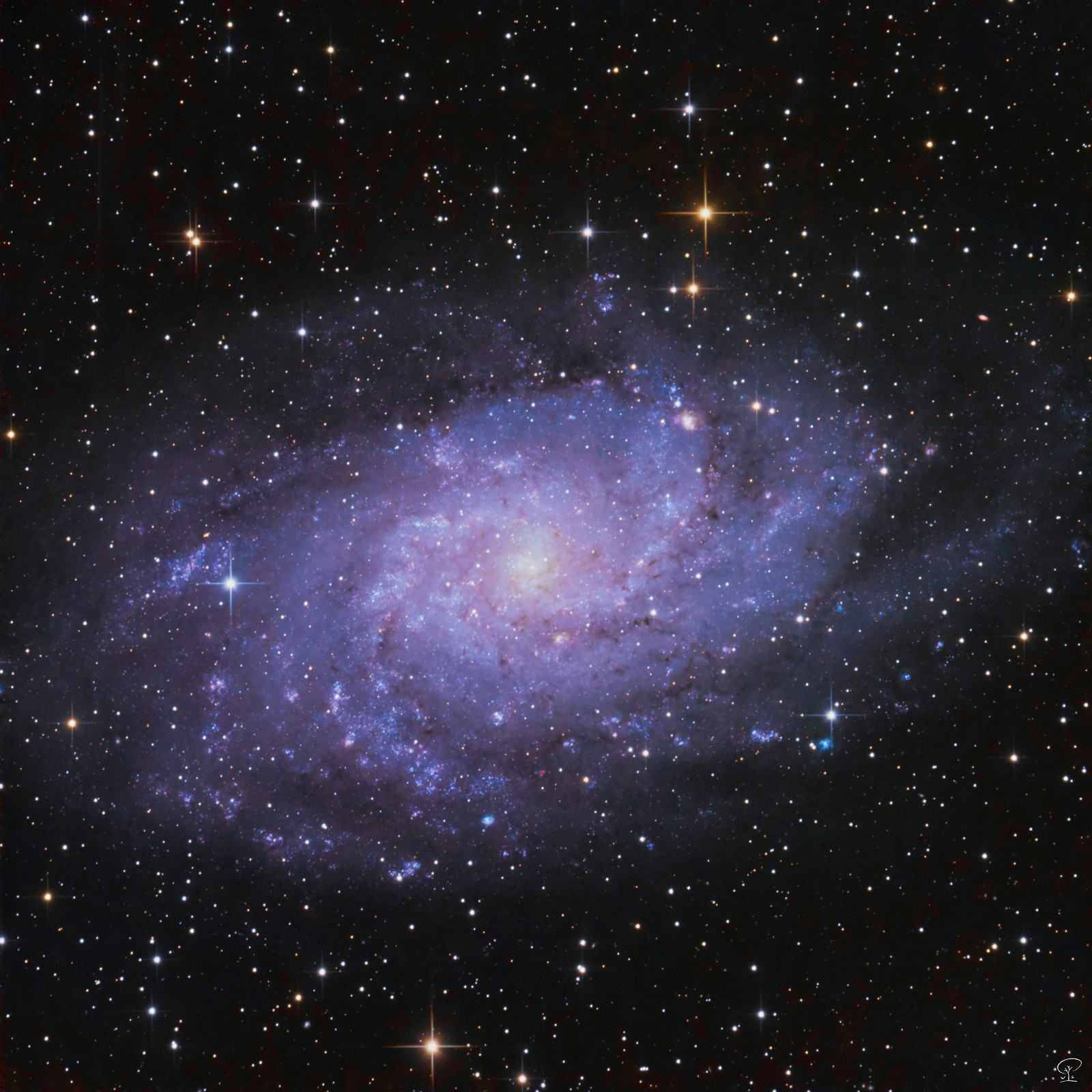 M33_1 (2) Messier 33, Triangulum Galaxie M33 ist eine Spiralgalaxie im Sternbild Dreieck (Triangulum), sie ist neben der Andromeda Galaxie die zweithellste Spiralgalaxie auf unserem Nachthimmel, und eine der uns nächstgelegensten. In der lokalen Galaxiengruppe ist M33 mit einem Durchmesser von 50000 bis 60000 Lichtjahren nach Andromeda und Milchstraße die drittgrößte Galaxie. Belichtung: 89x 180s mit UV/IR-cut Filter Kamera: ZWO ASI533MC-Pro bei -10°C Sensorkühlung Optik: Skywatcher 130/650 PDS, leicht modifiziert. Nachführung: Skywatcher HEQ5Pro Steuerung: ZWO ASIAIR Pro Bildbearbeitung: Astropixelprocessor, Pixinsight, Skylum LuminarAI