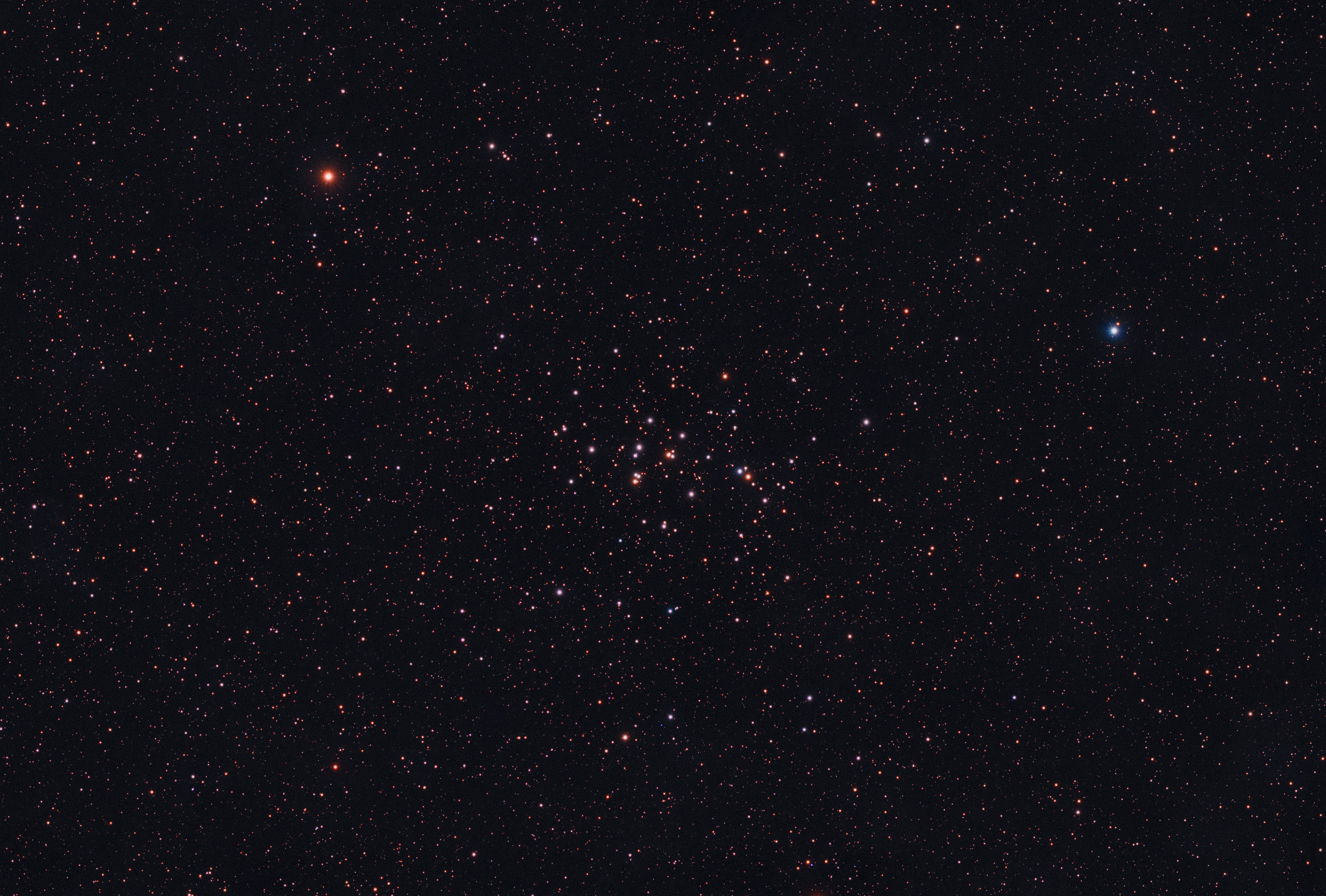 M44 Messier 44 auch bekannt als Praesepe, Krippe, Bienenstock, ist ein offener Sternhaufen im Sternbild Krebs. Bei einem Durchmesser von etwa 11 Lichtjahren sind zirka 1000 Sterne gravitativ an diesen Haufen gebunden. Die Entfernung beträgt ungefähr 577 Lichtjahre. Belichtung: 1h 15min mit dem Samyang 135mm bei f/2,8. Kamera: ZWO ASI183MC-Pro filterlos.