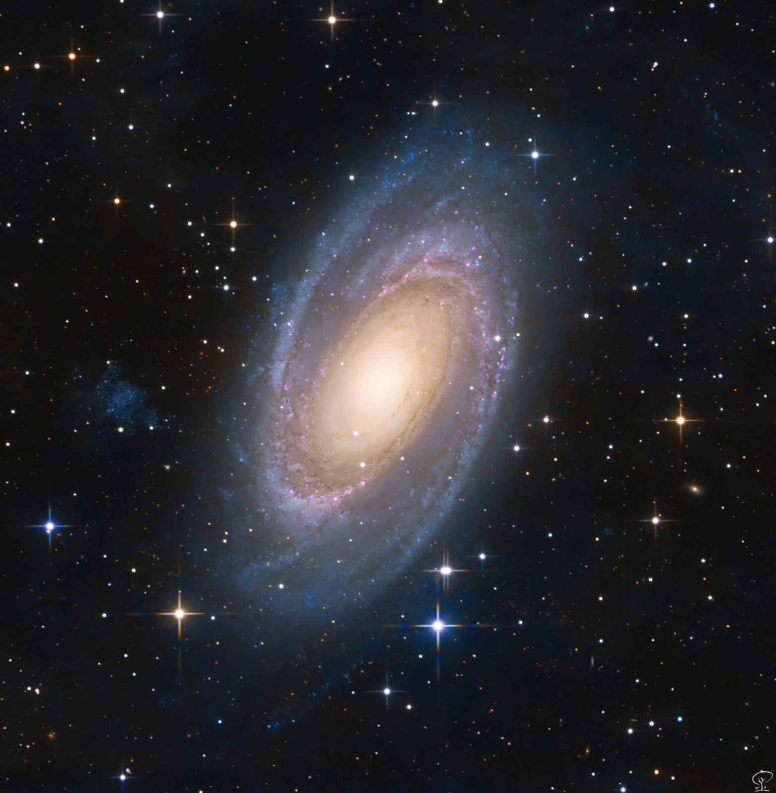 M81_V2_5 Messier 81 Johann Elert Bode entdeckte diese Galaxie bereits 1774, sie ist auch die hellste Galaxie auf unserem Nachthimmel mit einer visuellen Magnitude von 6,9 bis 7. Sie ist 82 Millionen Lichtjahren Durchmesser ein Eck kleiner als unsere Milchstraße, besitzt aber ein riesiges schwarzes Loch in seinem Zentrum, das mit 70 Millionen Sonnenmassen 15x so massereich ist wie das im Zentrum der Milchstraße. Schätzungsweise befinden sich 200 Milliarden Sterne in Bodes Galaxie, die auch als NGC 3031 katalogisiert ist. Der Blaue unförmige Fleck links neben M81 ist die irreguläre Zwerggalaxie UGC 5336 (auch Holmberg IX). Dieses Bild ist in der Nacht vom 6.2.24 entstanden, es war ein Kampf mit meiner neuen alten Nachführung - sie kämpfte verbissen gegen ein brauchbares Autoguiding (vermutlich ist die periodische Fehlerkorrektur in der Steuerung eingeschaltet, das muss ich erst herausfinden). Als ich nach zahllosen Parameteränderungen schließlich das Guiding ganz abgeschaltet habe, war ich total von den Socken. Die G11 fährt den Sternen ohne Guiding so solide hinterher, dass ich dann die ganze Nacht völlig ohne Guiding belichten konnte. Man sieht dem Bild die gute Nachführung an, Bildschärfe und Detailreichtum profitieren enorm davon. Nur gegen ein Uhr nachts gab es eine kurze Unterbrechung: ein furchtbar garstiges Geräusch drang an mein Ohr - das Schneckengetriebe in der RA-Achse hatte blockiert. Stellt euch nun einen 51-jährigen Glatzkopf vor, der mit Pyama und Lederjacke in Schlapfen draußen in der Dunkelheit alleine an einer Nachführung herumbastelt... Jedenfalls ging das dann aber innerhalb von wenigen Minuten zu beheben, fast alle beweglichen Teile der Nachführung liegen leicht zugänglich und servicefreundlich außen angebracht. Es war zu wenig Spiel im Getriebe eingestellt. Zwei Schrauben, ein bisserl Herumprobieren, geht schon weiter. Belichtungszeit war: 6h 21min 30s Teleskop: Skywatcher 250/1200 PDS Kamera: ZWO ASI533MC-Pro Filter: UV/IR-cut Steuerung: Asiair Plus Nachführung: Losmandy G11 Motorfokus, Filterschublade, GPU-Komakorrektor