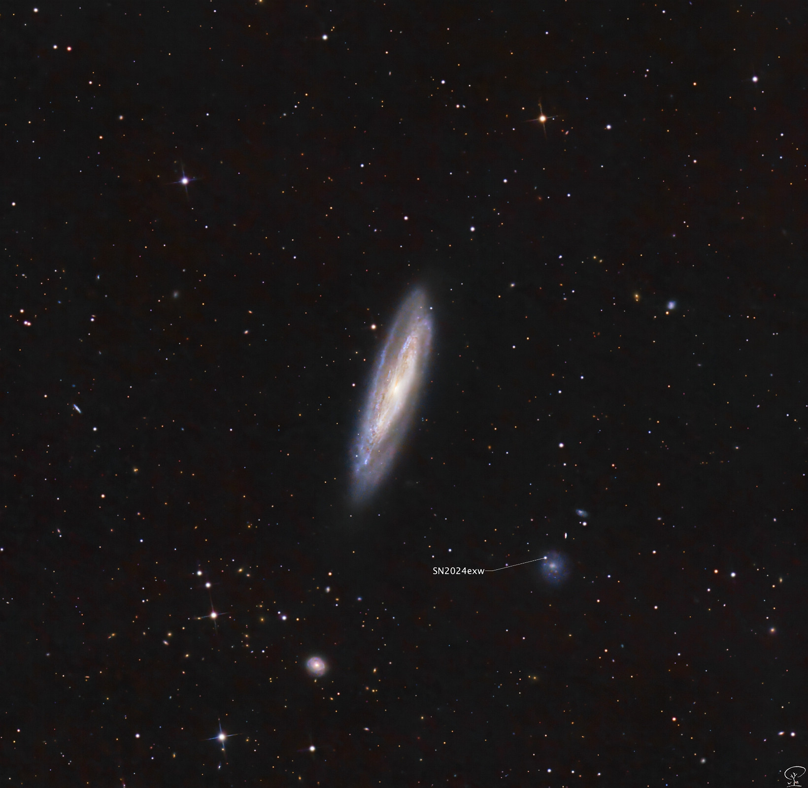 M98_final_annotated (2) Messier 98 und aktuelle Supernova in benachbarter Galaxie. Hab's vom Innenhof gerade noch ausreichend belichten können: hier ist eine am 24.3.2024 von Koichi Itagaki entdeckte Supernova in der Galaxie NGC4192A ( = UGC 7223 = PGC39002) zu sehen. Netterweise befindet sich Messier 98 als "Dekoration" gleich daneben sozusagen. Der Supernova-Typ ist zum jetztigen Zeitpunkt noch nicht bestimmt worden. Belichtungszeit: 203x 30s, unguided Teleskop: SW 250/1200 PDS Kamera: ZWO ASI533MC-Pro Filter: Lum Nachführung: Losmandy G11
