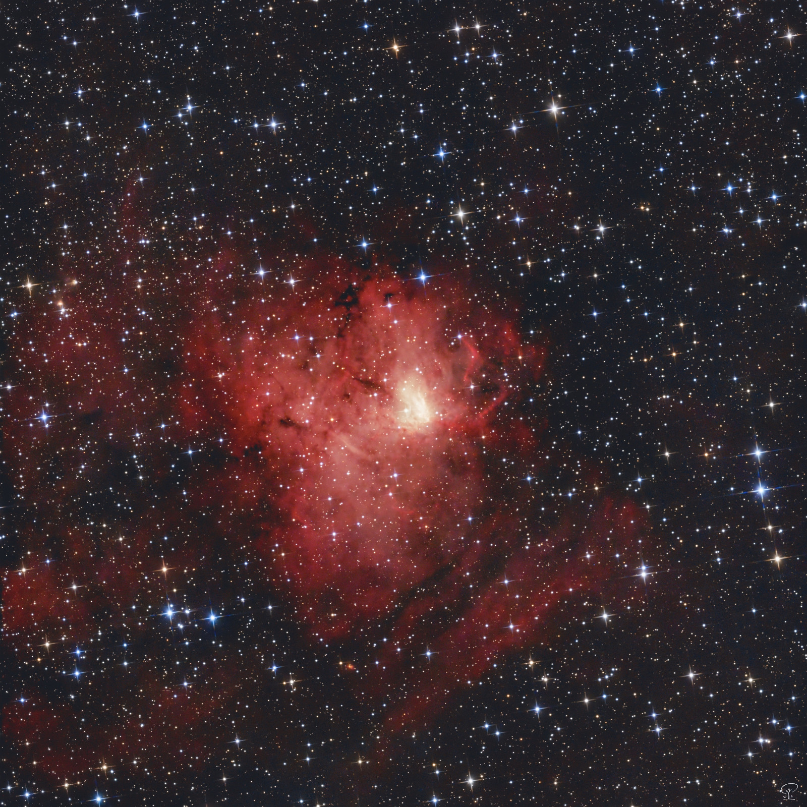 NGC1491 NGC 1491 bzw. SH2-206, der Fossil Footprint Nebel Dieser Nebel im Sternbild Perseus wurde 1790 von Wilhelm Herschel entdeckt. Wer auch immer den Trivialnamen "Fossil Footprint" vergeben hat, dürfte nur den hellsten Teil des Nebels gesehen haben, ansonsten erschließt sich mir diese Namensgebung nicht wirklich. Dieses Bild wurde zwei Nächte mit einem Dual-Schmalbandfilter und eine Nacht mit einem UV/IR-cut Filter belichtet, damit sowohl der Nebel selbst als auch die Sternfarben schön sichtbar werden. Teleskop: Skywatcher 130/650 PDS Kamera: ZWO ASI533MC-Pro Filter: Optolong L-Xtreme Dual-Schmalband und ZWO UV/IR-cut Nachführung: Skywatcher HEQ5-Pro Steuerung: ZWO ASIAIR Pro Belichtungszeit: Insgesamt 23h 22min