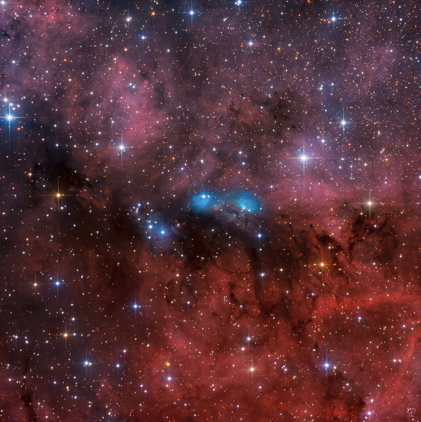 NGC6914_LRGB Der NGC 6914 Nebelkomplex Ein bunter Mix aus Reflexions-, Emissions- und Dunkelnebel inklusive dem kleinen offenen Sternhaufen Dolidze 8 findet sich in dieser Bildkomposition aus dem Sternbild Schwan. Auf Schmalbandfilter habe ich hier verzichtet, die Farben sollten möglichst naturgetreu bleiben. Die vier Nächte, die zur Belichtung dieses Bildes verwendet worden sind, waren leider inkonsistent bezüglich klarem Himmel, weshalb etwas weniger Belichtungszeit als geplant zusammengekommen ist - insgesamt 9h 3min nach strenger Selektion der Einzelbelichtungen. Teleskop: Skywatcher 130/650 PDS Kamera: ZWO ASI533MM-Pro Filter: L/R/G/B Nachführung: ZWO AM5 Software: Astropixelprocessor, Pixinsight, LuminarNEO, Olympus Workspace