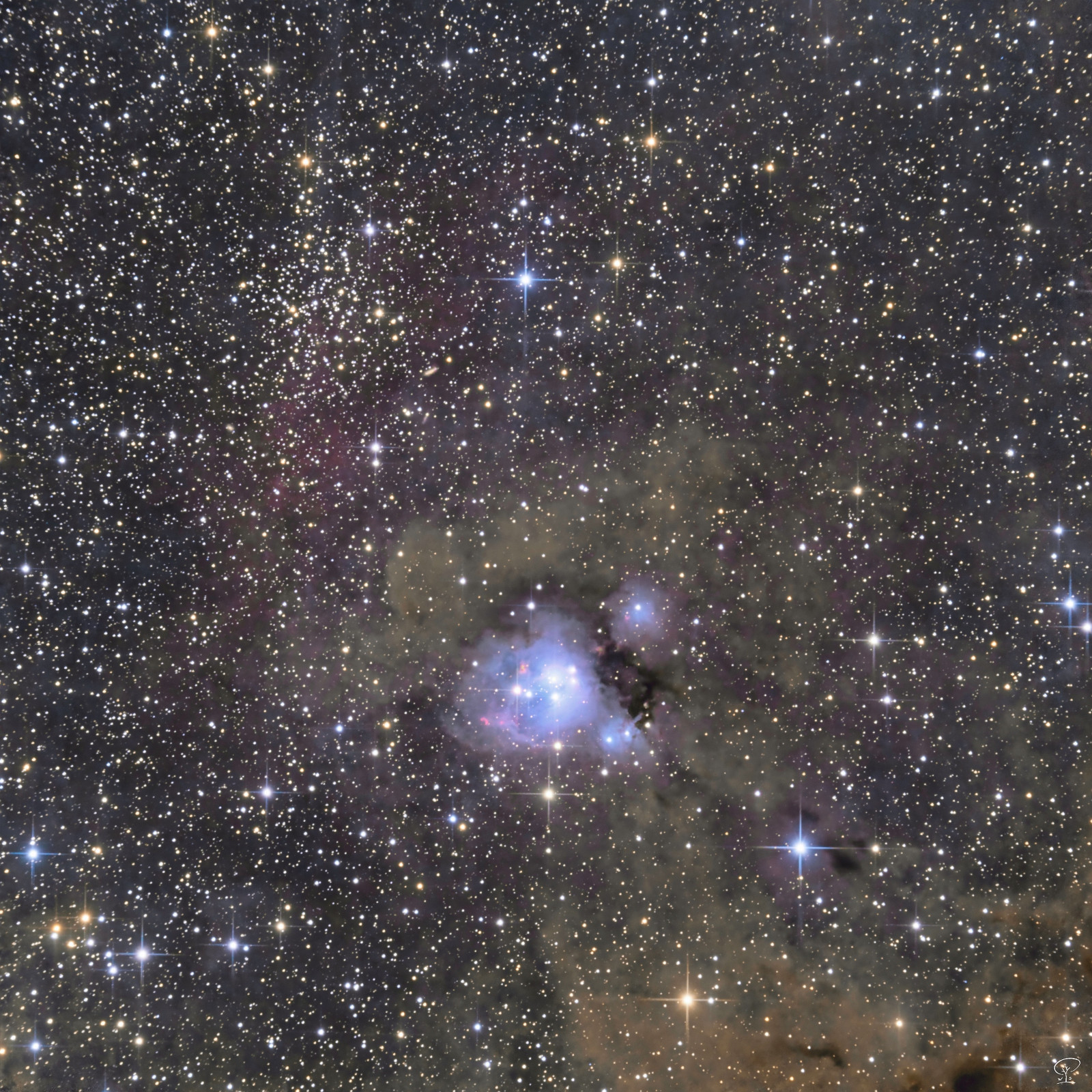 NGC7129 (2) Reflexionsnebel NGC7129 mit Sternhaufen NGC 7142 NGC 7129 ist ein Reflexionsnebel im Sternbild Kepheus, der etwa 3500 Lichtjahre von der Erde entfernt ist. Er hat eine Ausdehnung von etwa zehn Lichtjahren. Ein offener Sternhaufen mit etwa 130 jungen Sternen, die jünger als eine Million Jahre sind, bringt NGC 7129 zum Leuchten. Diesen jungen Sternen scheinbar benachbart steht mit einem geschätzten Alter von rund 4,5 Milliarden Jahren einer der ältesten bekannten offenen Sternhaufen, NGC 7142. (Quelle: Wikipedia, auszugsweise) Belichtung: 110x 180s mit UV/IR-cut Filter Kamera: ZWO ASI533MC-Pro (-10°C Sensorkühlung) Optik: leicht modifiziertes Skywatcher 130/650 PDS Newtonteleskop Nachführung: Skywatcher HEQ5Pro Steuerung: ZWO ASIAIR Pro