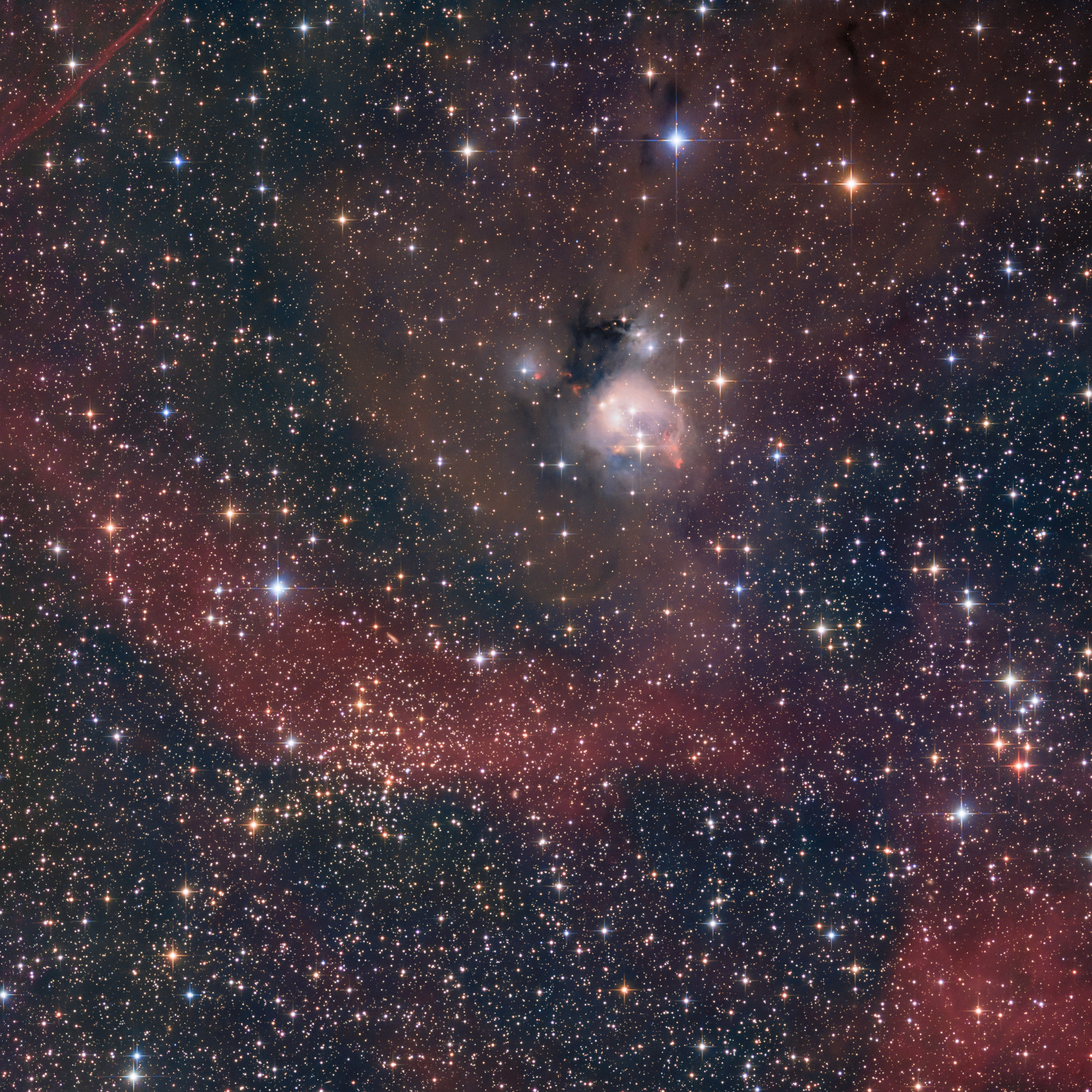 NGC7142_IC5134 Alt versus jung: Der offene Sternhaufen NGC 7142 (untere Bildhälfte) ist mit 4,5 Milliarden Jahren einer der ältesten bekannten offenen Sternhaufen, oberhalb im Bild ist der Reflexionsnebel IC 5134, auch Rosenknospen Nebel genannt, welcher ein paar junge Herbig-Haro Objekte enthält - das sind die hellroten kleinen Flecken in diesem Gebiet. Ich habe auch die H-alpha Wellenlänge aufgenommen und ins Bild integriert (rot), da zeigen sich auch interessante Details, wie etwa das Filament in der linken oberen Ecke, welches zu einer größeren Ha-Wolke gehört. Ob diese einem Supernovarest entstammt weiß ich jedoch nicht, sieht jedoch danach aus. Belichtungszeit insgesamt 20 h über den Zeitraum vom 9.5. bis 30.5. aufgenommen. Teleskop: Lacerta Carbon Photonewton 150/600 mm Kamera: ZWO ASI533MM-Pro Filter: Astronomik LRGB+Ha Nachführung: Losmandy G11