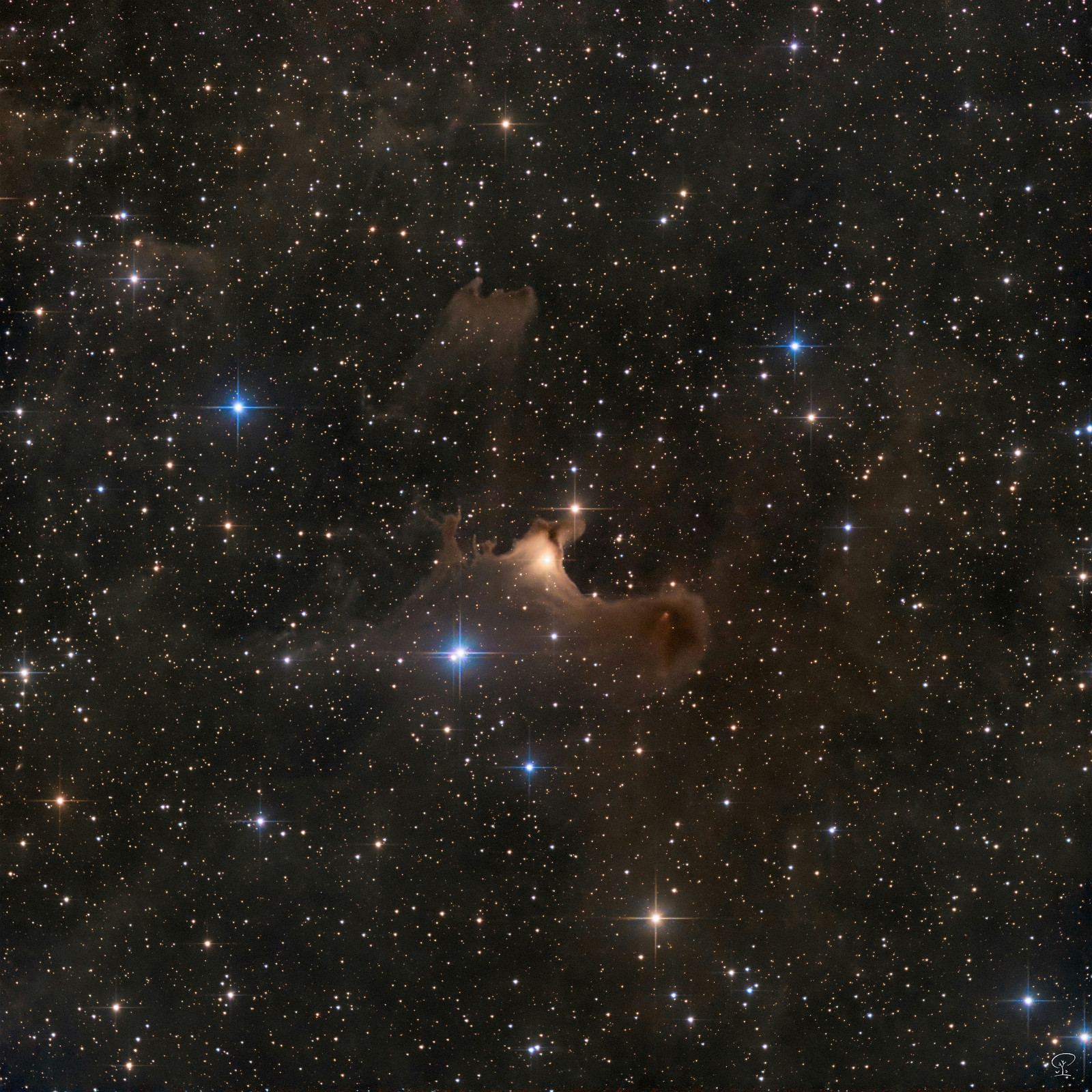 SH2-136 SH2-136, der Geistnebel Dieses Objekt ist Teil der großen Molekülwolke LDN 1177 im Sternbild Kepheus und liegt ca. 1500 Lichtjahre von der Erde entfernt. Die Molekülwolke und auch der Ghost Nebula zählen zu den so genannten BOK-Globulen und sind damit ein aktives Sternentstehungsgebiet. Der Wissenschaftler Joao L. Yun entdeckte mit seinem Team 1996 mit Hilfe der Radioastronomie zwei frisch gebackene Protosterne in diesem Nebel (Discovery of new Protostars: Yun, Joao - Astronomical Journal v.111, p.930). Teleskop: Skywatcher 130/650 PDS Kamera: ZWO ASI533MM-Pro Filter: L/R/G/B Nachführung: ZWO AM5 Software: Astropixelprocessor, Pixinsight, LuminarNEO, Olympus Workspace Belichtung: insgesamt 14h 49min auf 5 Nächte verteilt.