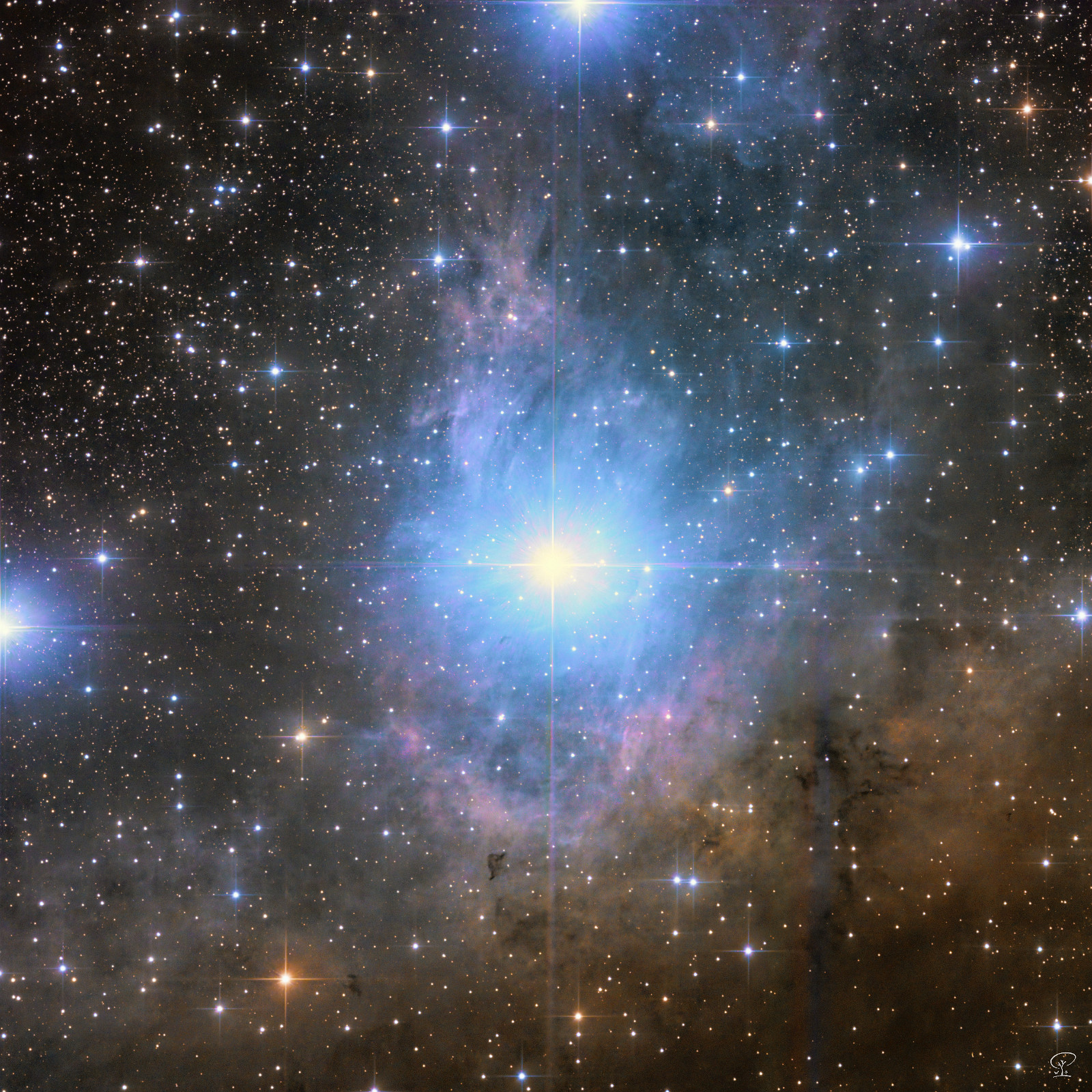 VdB 15-1 Reflexionsnebel Van den Bergh 15 Der kanadische Astronom Sidney van den Bergh beschäftigte sich mit Sternen, die mit Reflexionsnebeln assoziiert sind. Dazu untersuchte er Abzüge des Palomar Sky Survey. Van den Bergh fasste seine Funde in einem eigenen Katalog mit 159 Einträgen zusammen, den er 1966 im Astronomical Journal veröffentlichte. Die Objekte vdB 14 und vdB 15 sind zwei Reflexionsnebel in dem unscheinbaren Sternbild Camelopardalis (Giraffe), abgebildet ist hier vdB15. Die Nebel reflektieren das Licht der beiden 4,5 mag Sterne HD 21291 und 21389, welche zur Camelopardalis OB1-Assoziation gehören. Es sind Riesensterne der Spektralklasse A. Ihre Entfernung wurde zu 2.600 Lichtjahren bestimmt. Aufgenommen habe ich diesen Nebel ohne Schmalbandfilter, da es sich nicht um einen Emissionsnebel sondern um einen Reflexionsnebel handelt. Schmalbandfilter würden das vom Stern reflektierte Licht blockieren. Daher ist die korrekte Filterwahl hier LRGB oder RGB in Monochrom oder Luminanz in OSC (=Farbkamera). Mit der Monochromkamera ist es etwas mehr Aufwand, aber meist lohnt es sich, also habe ich LRGB mit meiner Monokamera gemacht, wobei im der Luminanzfilter mit GAIN 0 und die Farbfilter mit GAIN 100 belichtet worden sind. So sind in vier Nächten 26h 10min Belichtungszeit zusammengekommen. Teleskop: Skywatcher 130PDS (650mm Brennweite, f5) Kamera: ZWO ASI533MM-Pro Filter: Optolong LRGB Nachführung: ZWO AM5 Steuerung: ZWO ASIAIR Pro
