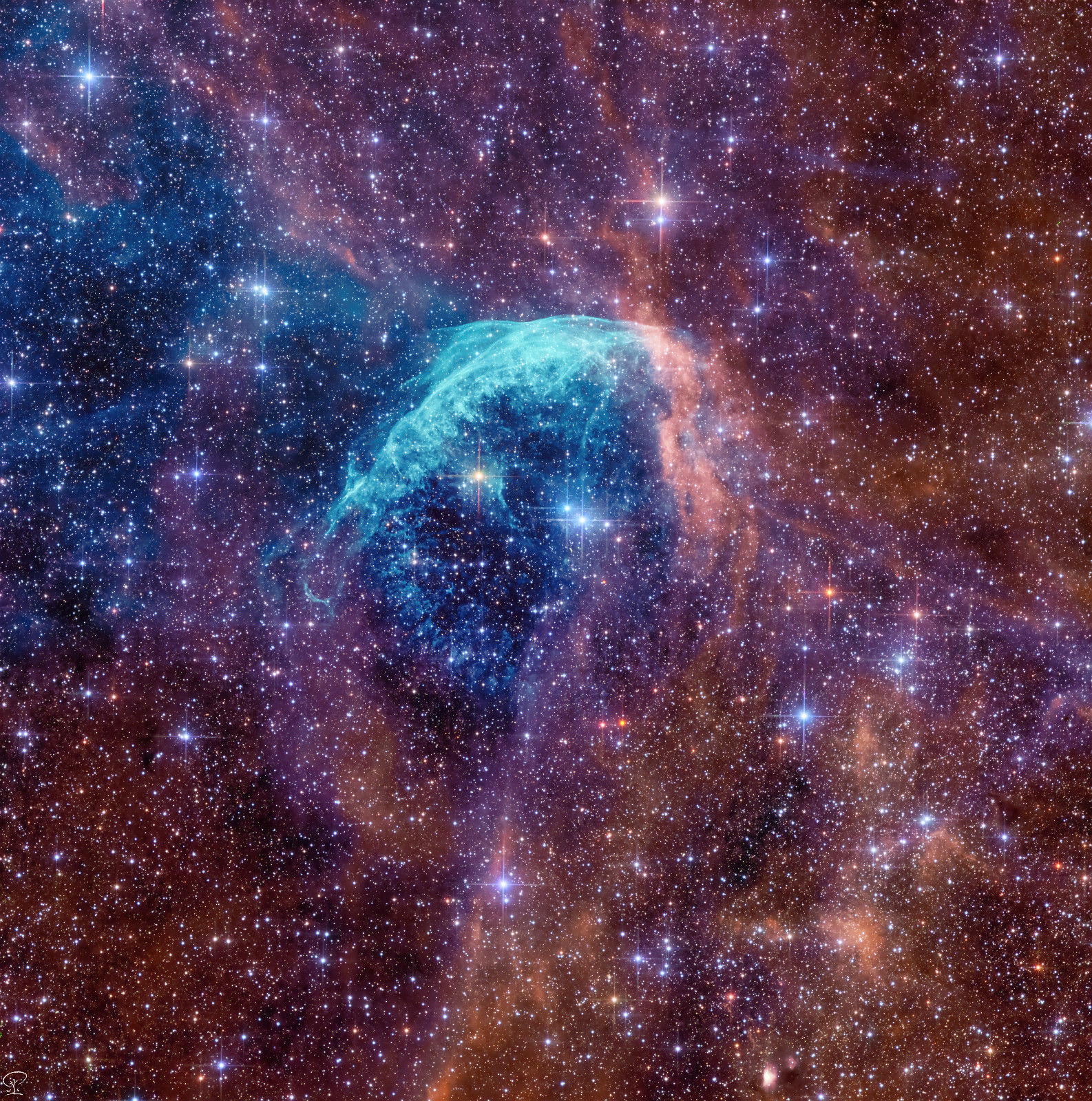 WR134_LRGBHSO_final Wolf-Rayet 134 Ein weiteres besonderes Objekt kann ich nach vielen klaren Nächten nun endlich von meiner Bucket-List streichen: WR 134 WR 134 ist einer von drei Sternen, die Charles Wolf und Georges Rayet 1867 beobachtet haben, damit haben diese beiden Herren den Grundstein für diese besondere Klasse von Sternen gelegt, die besonders schnell und unglaublich heiß ihr Material verheizen, was die Lebensdauer von Wolf-Rayet Sternen sehr verkürzt. Es war mir bei diesem Bild wichtig, den von WR 134 ionisierten blauen O3-Bogen so gut wie es meine Ausrüstung zulässt abzubilden, wobei es eigentlich ein Kreis ist, wie man bei langen Belichtungen erahnen kann. Wer meine Bilder kennt, weiß, dass ich kein Freund von übertriebener Reduktion der Sterne bin, die gehören nun mal dort hin, sonst kann ich ja gleich ein sternloses Bild posten. Hier jedoch musste ich ein wenig über meinen Schatten springen, die feinen O3-Strukturen in der Mitte wären sonst völlig im Sternenlicht abgesoffen. Dennoch habe ich versucht, eine optische Balance zwischen den Nebeldetails und dem Erscheinungsbild der Sterne zu finden. Dabei habe ich die Sterne der RGB-Filterung verwendet, und nicht von der Gesamtintegration, wodurch die Sternfarben halbwegs natürlich dargestellt sein sollten. Das ist nun endlich dabei herausgekommen, nach vielen Computerstunden und neuen Anläufen in meiner Bildbearbeitung. Gesamtbelichtungszeit: knapp 52 Stunden (12 Nächte) Teleskop: Skywatcher 130PDS Kamera: ZWO ASI533MM-Pro Filter: Optolong L+R+G+B+S2+Ha+O3 GPU-Optics Komakorrektor Askar Offaxis-Guider mit ASI120MM-mini Steuerung: ZWO ASIAIR Pro Nachführung: ZWO AM5 Software: Astropixelprocessor, Pixinsight, LuminarNEO