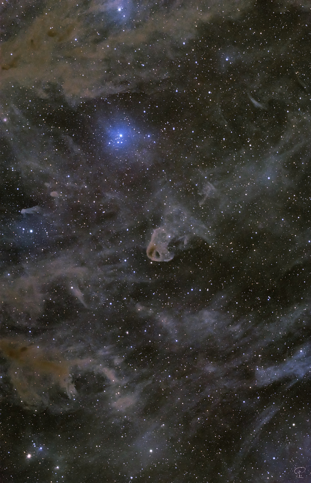 babyadler_samyang_corr_corr Was neben meinem derzeitigen Langzeitprojekt mitgelaufen ist konnte ich heute fertigbearbeiten: eine tiefe Weitfeldaufnahme im Sternbild Stier (Taurus). Im Zentrum der staubigen Nebulositäten ist LBN 777, ein Nebel, der wie ein kleiner Geier aussieht, wenn man das Bild drehen würde - aber ich will gerne Norden oben im Bild haben, daher verzeiht mir, dass ich das nicht mache. Am Hinterkopf des Geiers ist ein dunkler Fleck, das ist Banard 207, eine dichte Wolke, in der Sterne entstehen. Im Infrarotbereich würde man die jungen Protosterne sehen, hier eher nicht. An diesem Objekt habe ich mich schon vor zwei Jahren mit meinem kleinen Newtonteleskop versucht, habe dann aber aufgegeben, weil diese Nebel sehr lichtschwach sind und das Teleskop da auch nicht viel Licht in einer Nacht sammeln konnte. Diese Aufnahme hingegen ist simultan mit zwei f2 Systemen zwei Nächte hindurch belichtet worden, und da sieht alles gleich ganz anders aus, bloß die Dominanz der Sterne musste reduziert werden, um die Staubwolken voll zur Geltung zu bringen. Aufnahmedatum: 8.11./9.11.2024 Belichtung: insgesamt 19h 15min Optik: 2x Samyang 135mm/f2 Kamera: 2x ZWO ASI183MC-Pro