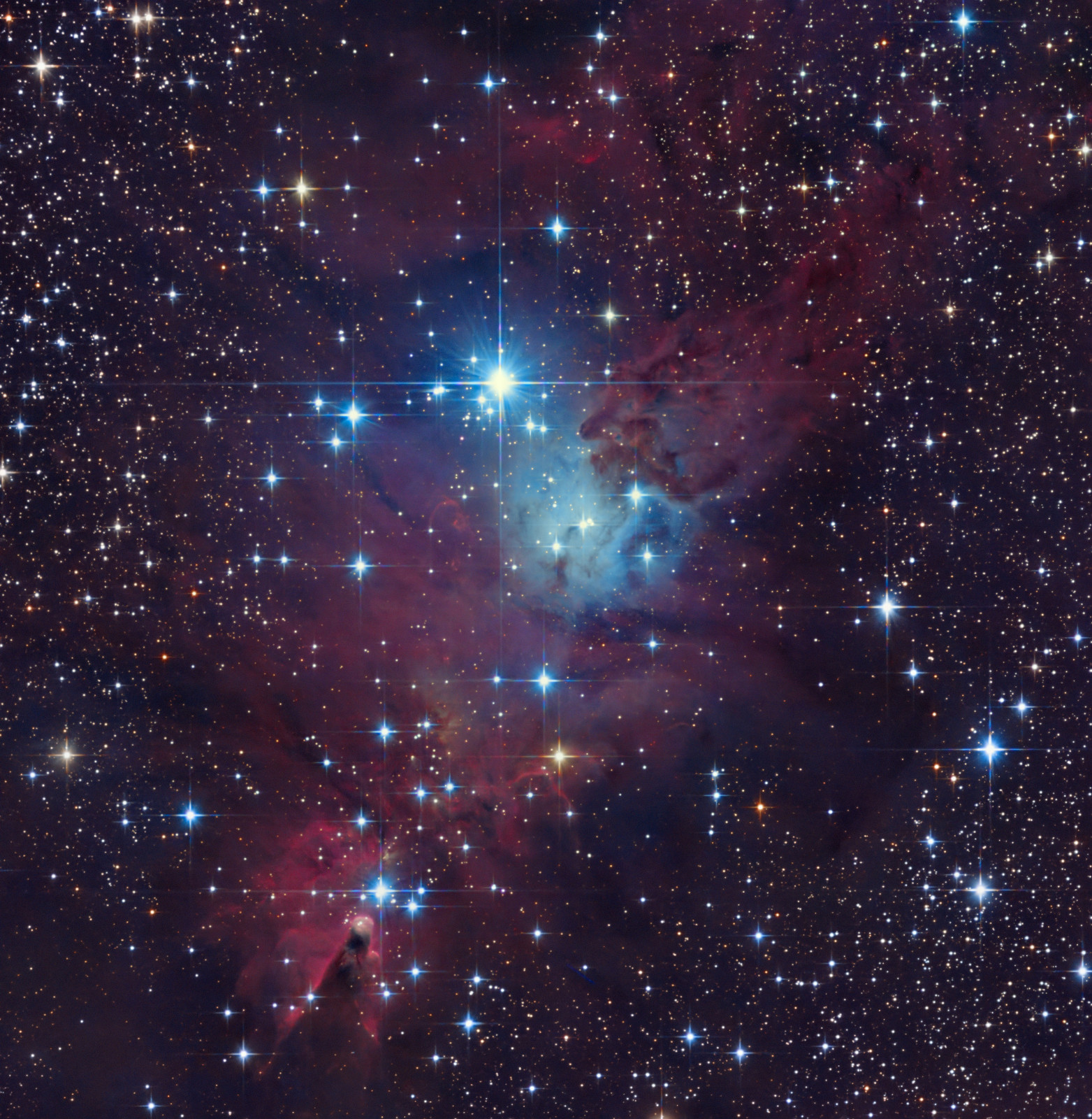christbaum-LRGB_final NGC 2264, der Christbaum-Haufen mit dem Konusnebel. Eine natürliche LRGB Aufnahme mit meinem 130/650 Newtonteleskop, ca. 10h Belichtungszeit. Im nächsten Bild habe ich die Aufnahmen durch den Rotfilter mit denen durch einen Infrarot-Passfilter ersetzt, einfach weil ich neugierig war, was sich zeigen würde und wie die Unterschiede sind.