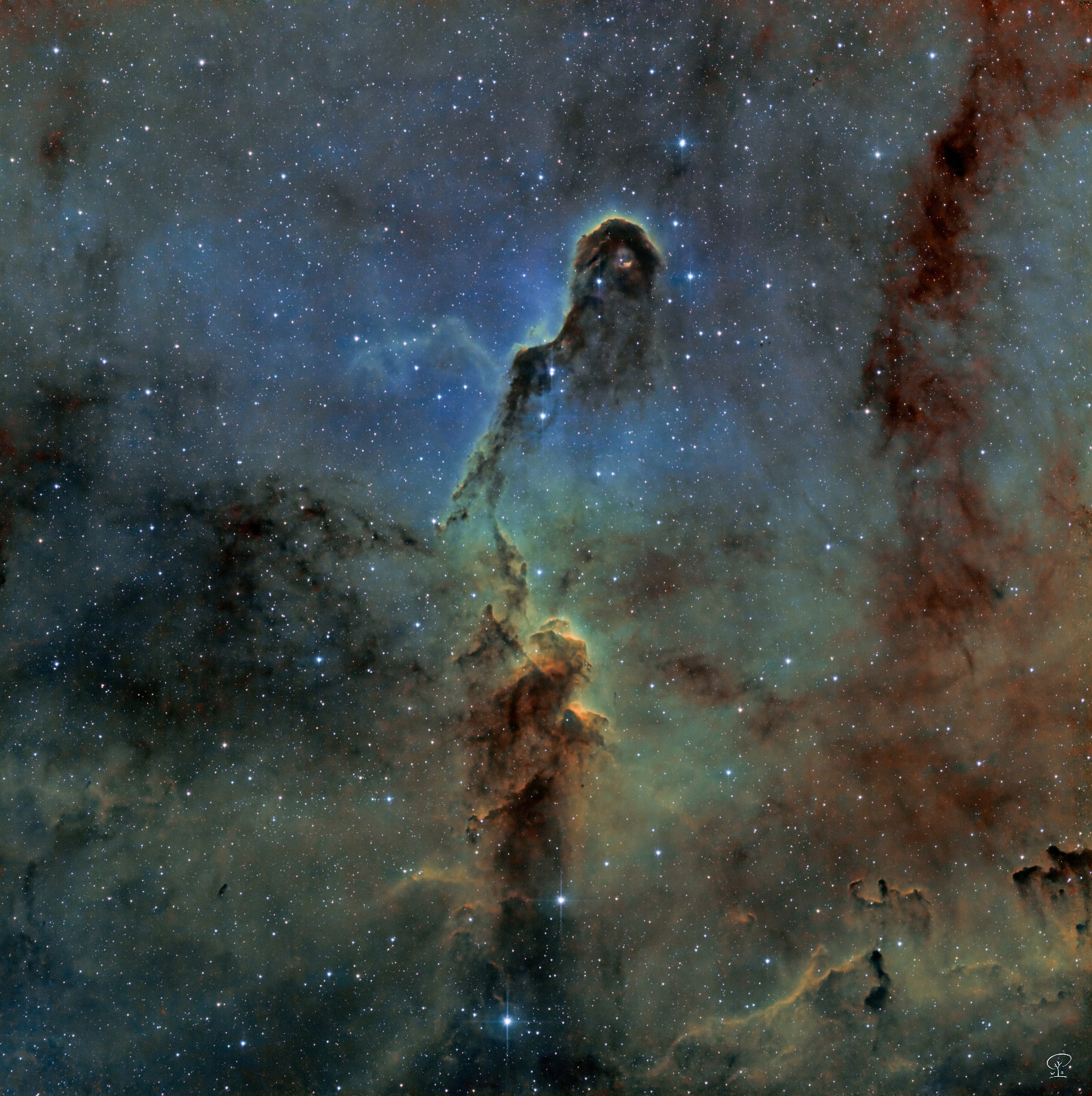 ruessel IC 1396A, der Elefantenrüssel Erstmalig habe ich hier nun einen bekannten Nebel, der bereits zu den Standardmotiven bei Astrofotografen gehört, in der Hubblepalette aufgenommen. Die Nasa verwendet für diese drei Schmalbandfilter folgende Farbzuordnung: SII=rot, O3=blau, H_alpha=grün. Beim Fusionieren dieser so eingefärbten s/w-Aufnahmen entsteht dann so ein spektakuläres Falschfarbenbild, das aber nicht unwissenschaftlich ist, weil anhand der Farben die Elemente in den Gasen zugeordnet werden können. Auch diese Nebelregion ist eine Geburtsstätte von Sternen, zahlreiche Protosterne und junge Sterne wurden bereits entdeckt. Teleskop: Skywatcher 130/650 PDS Kamera: ZWO ASI533MM-Pro Filter: H/S/O Nachführung: ZWO AM5 Steuerung: ZWO ASIAIR Pro Software: Astropixelprocessor, Pixinsight, LuminarNEO Belichtung: insgesamt 9h 8min verteilt auf drei Nächte.