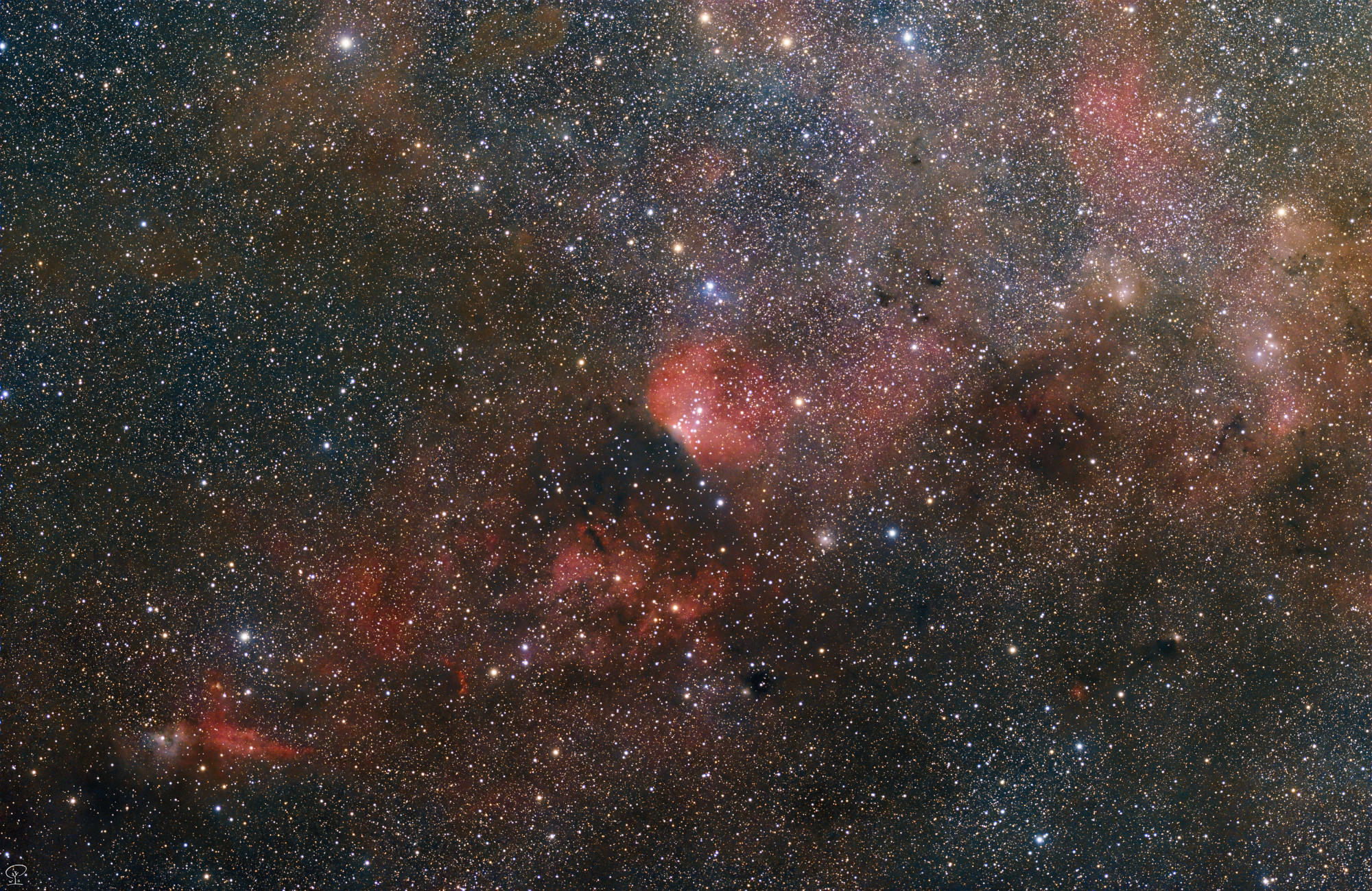 sh2-140 Kurzbesuch bei den hübschen Nebeln des Kepheus. Zwei Nächte lang habe ich die Wolkenlücken genutzt, um mit zwei Systemen gleichzeitig wenigstens ein paar Stunden Belichtungszeit zusammenzukratzen. Weil es in dieser Gegend alle Arten von Nebel und Staub zu finden gibt, habe ich mich auf ungefilterte Aufnahmen beschränkt, um die Schönheit der natürlichen Farben sowohl der Nebel als auch der Sterne zeigen zu können. Es sind Emissionsnebel aus dem Sharpless-Katalog zu sehen (rote Wasserstoffwolken), Reflexionsnebel aus dem Van der Bergh Katalog (helle, kleine reflektierende Wolken) und dunkle Staubwolken (schwarz, braun, grau), die oft die Bausteine zur Bildung neuer Sterne enthalten. Norden ist im Bild links. Belichtungszeit: 5h 18min Aufnahmedatum: 29.09. und 30.09.2024 318 Einzelbelichtungen zu je 60s bei Gain 120 Optik: 2x Samyang 135mm/f2 Kamera: 2x ZWO ASI183MC-Pro Filter: UV/IR-cut Nachführung: Skywatcher HEQ5Pro und EQ6 Motorfokus: 2x ZWO EAF Steuerung: 2x ZWO ASIAIR Plus