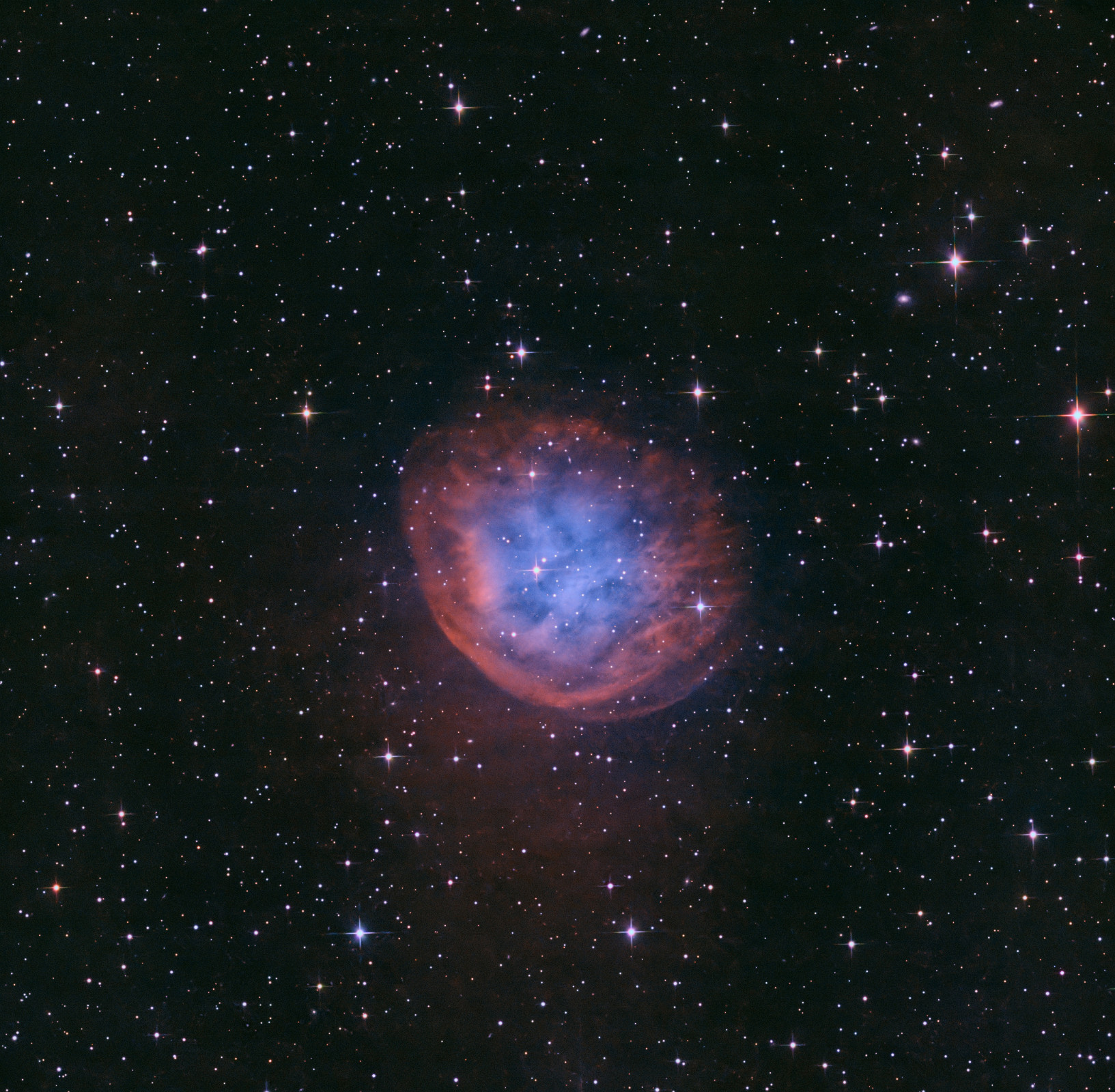 sh2-290-hoo Planetarischer Nebel SH2-290 (Abell 31/PK 219+31.1). Planetarische Nebel entstehen, wenn massearme Sterne sich am Ende ihres Lebens ihrer Hülle explosionsartig entledigen. Der blaue Kern des Nebels repräsentiert die ionisierten Sauerstoffatome, während rot den umgebenden Wasserstoff repräsentiert, der mit geladenen Teilchen interagiert. SH2-290 ist einer der größten bekannten PN - seine Größe und das sehr leuchtschwache Erscheinungsbild lassen darauf schließen, dass er schon extrem alt ist. Sein verbliebener Zentralstern ist nun ein heißer und stark in UV strahlender weißer Zwerg, Entfernung ca. 2000 Lichtjahre. Teleskop: Skywatcher 130/650PDS Kamera: ZWO ASI533MM-Pro Filter: Astronomik HII 6nm, Astronomik OIII 6nm Nachführung: Losmandy G11 Steuerung: ZWO ASIAIR Pro Belichtung: 24h 40min