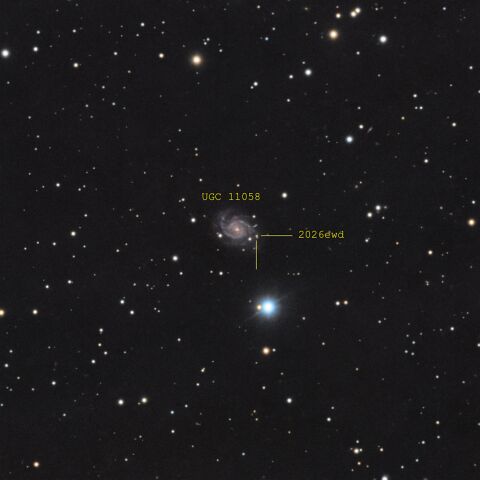 2026ewd_annotated Supernova SN2026ewd in UGC11058
