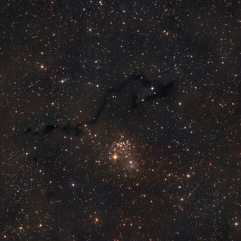 Image26 Der offene Sternhaufen NGC 654 mit dem schwach bläulich leuchtenden Reflexionsnebel VDB 6 und dem dunklen Band an kompakten Staubwolken (LDN 1332, 1334, 1337)....