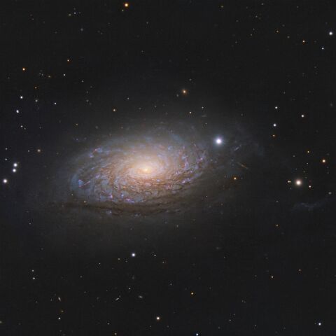 M63_MeadeLX200_EMC10_IMX432C Die Galaxie Messier 63 ist ein beliebtes Fotoziel, ist ja auch ein spektakulär aussehendes Ding. Dieses Objekt musste für den Test einer nicht mehr ganz...