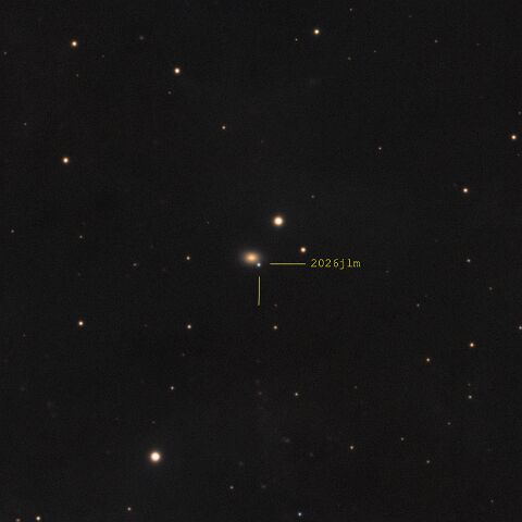NGC5583_2026jlm_annotated Supernova SN2026jlm in NGC5583
