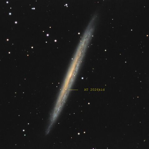 NGC5907_AT 2026kid 1 Supernova SN2026kid in der Galaxie NGC5907. Teleskop: Meade LX200 EMC 10 Kamera: Atik 414ex Filter: LRGB Astronomik Nachführung: Losmandy G11 Steuerung: NINA...
