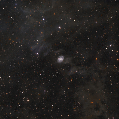 NGC_6951 NGC 6951/6952. Diese Balkenspiralgalaxie im Kepheus hat mich gleich angesprochen auf meiner Objektsuche, weil sie einerseits schön strukturierte Spiralarme hat...