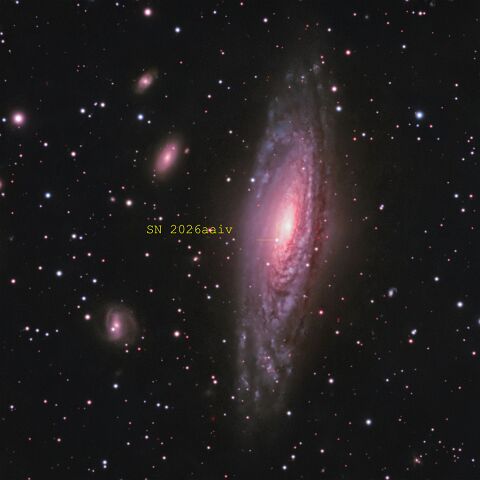 SN2026aaiv_beschriftet Supernova 2026aaiv in der hübschen Spiralgalaxie NGC 7331. Teleskop: Meade LX 200 EMC @f/7 Kamera: Atik 414ex Filter: Baader Sloan/SDSS r' + g' Belichtung: 2 h...