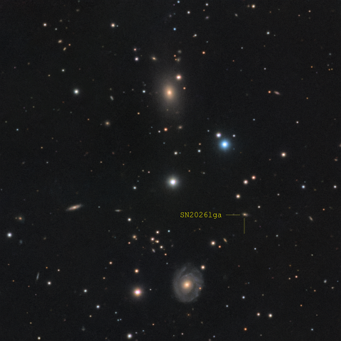 SN2026lga_annotated Supernova SN2026lga in der weit entfernten Galaxie LEDA 3570072 im Galaxienhaufen Abell 2162. 3 h 2 min LRGB bei 73% Mondphase. Teleskop: Meade LX200 EMC 10