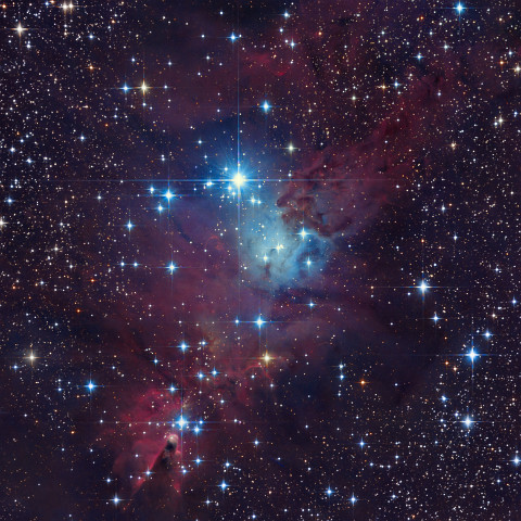 christbaum-LRGB_final NGC 2264, der Christbaum-Haufen mit dem Konusnebel. Eine natürliche LRGB Aufnahme mit meinem 130/650 Newtonteleskop, ca. 10h Belichtungszeit. Im nächsten Bild...