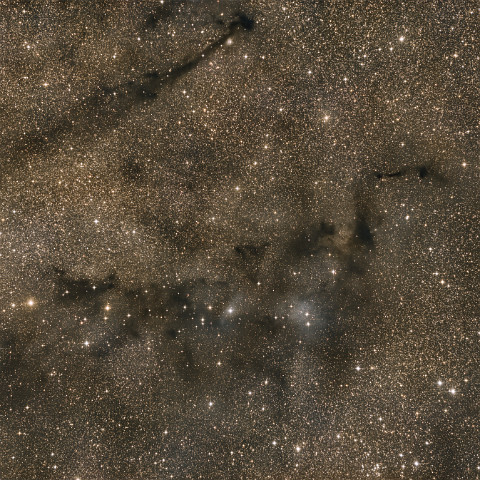 nessie Im Sternbild Füchslein (Vulpecula), südlich vom Schwan (Cygnus) finden wir ein paar große Dunkelnebel. Ich habe mir für den erweiterten Test meines CCD-Monsters...