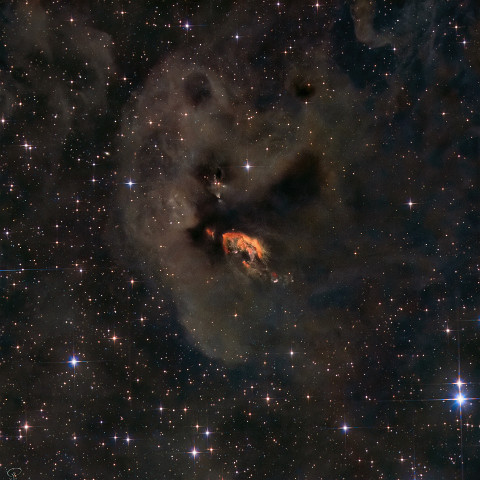 sh2-239-plus-ir Sharpless 239 befindet sich etwa 450 Lichtjahre von der Erde entfernt in Richtung des Sternbildes Stier. Sh2-239 ist ein Reflexionsnebel und eine Ansammlung von...