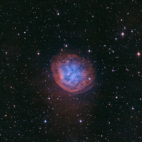 sh2-290-hoo Planetarischer Nebel SH2-290 (Abell 31/PK 219+31.1). Planetarische Nebel entstehen, wenn massearme Sterne sich am Ende ihres Lebens ihrer Hülle explosionsartig...