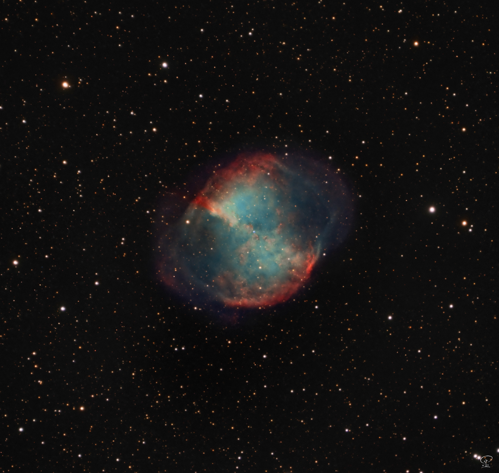 M27_final Messier 27, der Hantelnebel, ein astrofotografisches Experiment Ich habe wieder meinen Skywatcher Maksutov (Skymax 180) gequält, naja eigentlich habe ich die Nachführung gequält, nicht das Teleskop. Dieses Teleskop ist für Mond- und Planetenaufnahmen gebaut - viel Brennweite, wenig Lichtstärke. Ich habe es ein wenig modifiziert (Tubus innen antireflektiv ausgekleidet, maßgefertigte Tubusschellen, motorisierter Fokus), um damit auch Deepsky-Aufnahmen machen zu können. Die hier verwendete Reduzierlinse ist für Schmitd-Cassegrain Teleskope gerechnet, die eine etwas andere Spiegelgeometrie besitzen als Maksutov-Teleskope. Aber es funktioniert bis zu einem gewissen Grad, es gibt leichte Randverzerrungen, die ich verschmerzbar finde. Die Verzerrungen sind nach meinen Versuchen am geringsten, wenn der Reducer das erste optische Element direkt am Montageflansch des Teleskopausganges ist. Allerdings hat man hier auch die geringste Reduzierwirkung, also eher um die 0.7x statt 0.63x. Das nehme ich mal so hin. Wichtig ist es auch, den Arbeitsabstand des Reducers zum Sensor einzuhalten. Ganz rund werden die Sterne aber noch nicht, weil ich nach wie vor Probleme habe bei diesem Trumm ein gutes Guiding zu erreichen. Vom Gewicht her sollte die ZWO AM5 das händeln können, aber ich habe trotz Reducer hier laut Bildanalyse ca. 1900mm effektive Brennweite, das kann die AM5 leider nicht mehr so genau nachführen, oder aber das Stativ ist nicht stabil genug, daran arbeite ich noch. Möglicherweise ist auch die Brennweite des Guidescope zu gering, das wird auch noch geändert. Das Bild ist bei Vollmond 150 Minuten belichtet worden, die Einzelbelichtungen musste ich kurz halten wegen der vorerst noch ungenauen Nachführung. Filter kam keiner zum Einsatz (nur UV/IR-cut, der zählt für mich nicht als Filter). Mit diesem Bild bin ich schon halbwegs zufrieden, Luft nach oben gibt es natürlich genug. Abgebildet ist hier Messier 27, der Hantelnebel. Der ist laut Wikipedia etwa 1300 Lichtjahre enfernt und entstand durch einen roten Riesen, der am Ende seines Lebenszyklus seine Schalen abgestoßen hat - es handelt somit um einen sogenannten planetarischen Nebel. Kamera: ZWO ASI533MC-Pro Teleskop: Skywatcher Skymax 180 Maksutov-Cassegrain (nativ 2700mm/f15, mit Reducer zwischen 1700 und 2000mm/f10.5-f11.1) Nachführung: ZWO AM5 Filter: UV/IR-cut Steuerung: ZWO ASIAIR Plus Guiding: 200mm Achromat mit ZWO ASI482MC Kamera Software: Astropixelprocessor, Pixinsight, LuminarNEO Belichtung: 300x 30s