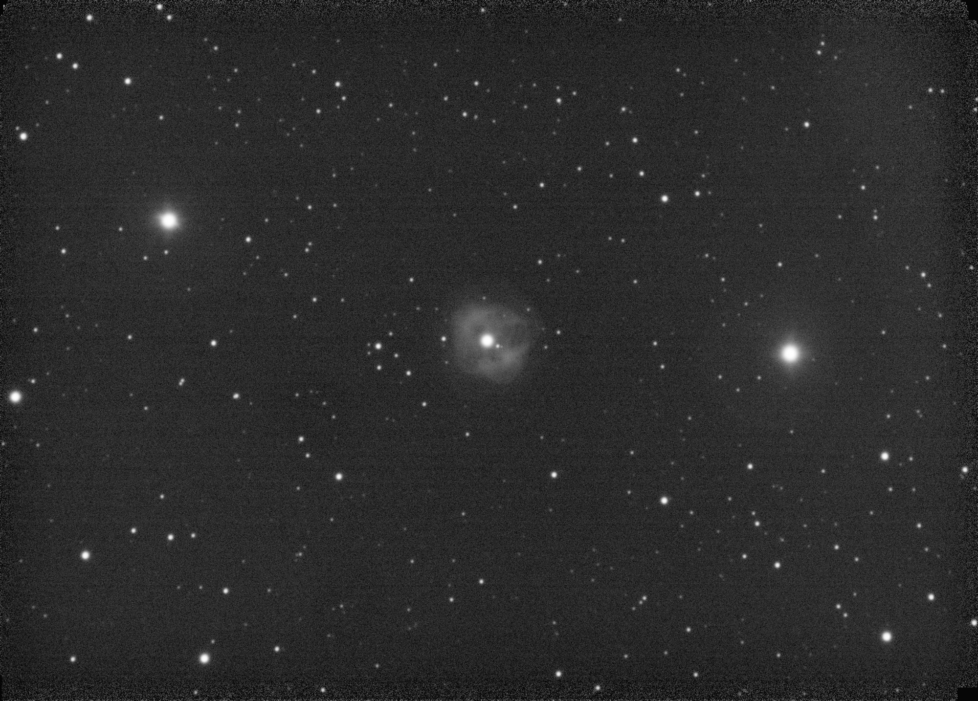 Reducer-Test-1-St Unbearbeiteter Rohsummenstack. Test der Sternabildung des CCD47 Reducers an meinem Skywatcher Skymax 180 Maksutov-Cassegrain Teleskop unter suboptimalen Bedingungen. Zwar haben die -14°C draußen dafür gesorgt, dass nach einer halben Stunde die AM5 aufgehört hat zu tracken - vermutlich weil die alte ASIAIR-Pro Steuereinheit ein paar USB-Verbindungen einfach abgeworfen hat, etwa auch den Fokusmotor, aber es wurden immerhin 60x 30s Belichtungen gesammelt, genug für eine grobe Einschätzung. Ergebnis 1: der Reducer passt hervorragend zum Teleskop. Die resultierende Lichtstärke von f10 ist zwar nicht besonders toll, aber besser als f15. Sterne sehen alle ziemlich rund aus. Ergebnis 2: Die ASI432MM ist mit ihren großen 9µm Pixeln wirklich sehr empfindlich, allerdings fehlt die aktive Kühlung, die das Rauschen minimieren würde, der Sensor bekam in dieser Kälte immerhin +4,5°C. Die horizontalen Streifen in der Aufnahme begeistern mich nicht wirklich, da kann man aber vieleicht noch mit anderen Belichtungszeiten und Gain-Einstellungen noch etwas verbessern, aber da schwebt mir eher etwas Anderes vor, mal schauen. Das Bild an sich wäre mit etwas Aufwand in der Nachbearbeitung natürlich noch zu verbessern, lohnt sich bei diesem Test aber nicht, ich konnte nur ungefähr scharfstellen und nichts wollte richtig funktionieren. Aber wen's interessiert - das ist NGC 1514, der Kristallkugelnebel im Luminanzkanal, ein planetarischer Nebel, der momentan günstig am Nachthimmel stehen würde, wenn es das Wetter zulassen täte... Naja, schauen wir mal, wie es weitergeht.