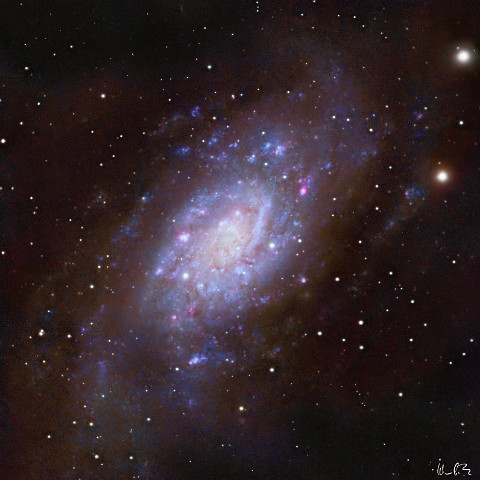 Image07 Ja... das Bild ist etwas anders geworden als erwartet: NGC 2403, eine Galaxie aus der M81 Galaxiengruppe. Damit bringe ich das Projekt 