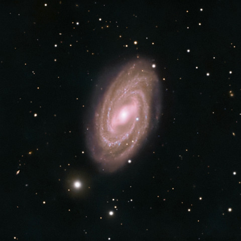 M109 Eine weitere Aufnahme mit dem Maksutov-Teleskop: Messier 109 oder auch NGC 3992. Die Aufnahmebedingungen waren nicht so optimal, dementsprechend fehlt dem Bild...
