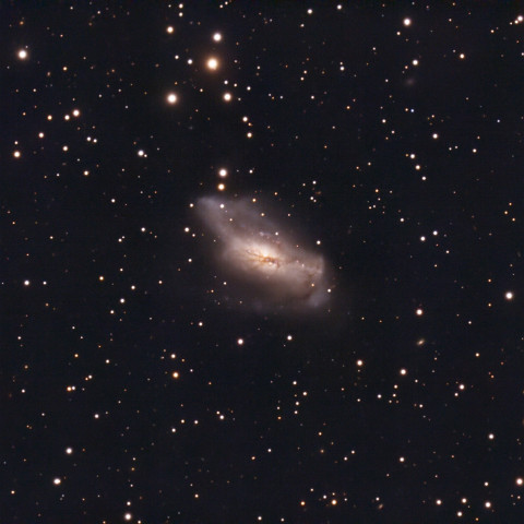NGC 2146 NGC 2146, eine weitere besondere Galaxie: Entdeckt worden ist diese Galaxie 1876 von Friedrich August Theodor Winnecke. Ihre spezielle Form verdankt sie...